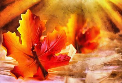 maple leaf, leaf, red leaf, fall,