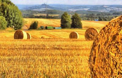 field, harvest, wheat, haystack,