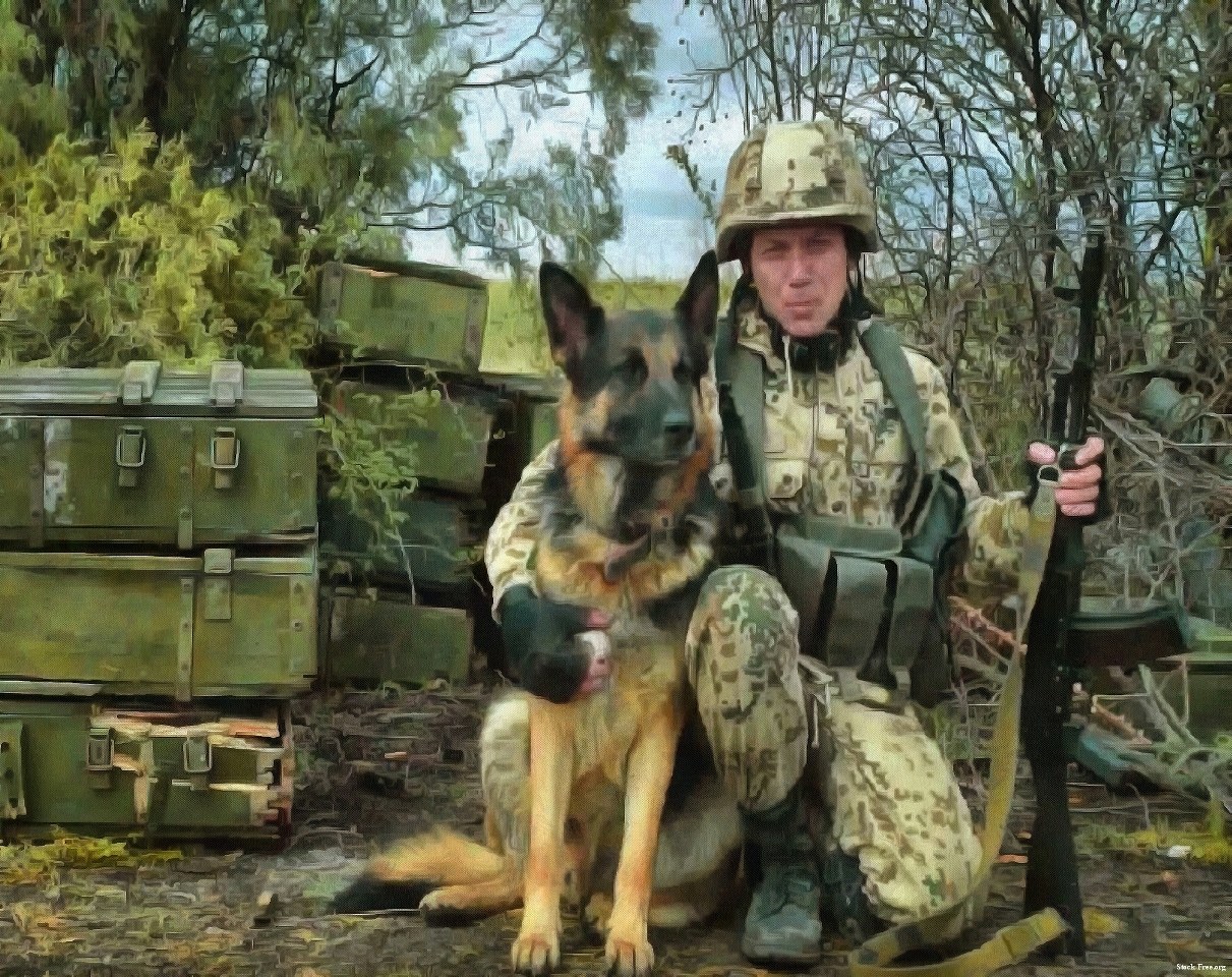 Squad Azov, Ukraine, self defence, ukrainian army, - ukrainian army stock free, free images ukraine, public domin images azov, squad azov!