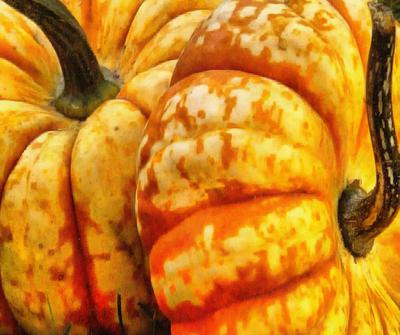 pumpkin, thanksgiving, vegetables, harvest, holiday, 