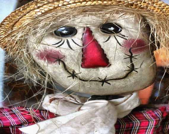 front face, doll, unhappy face, toy, scarecrow,