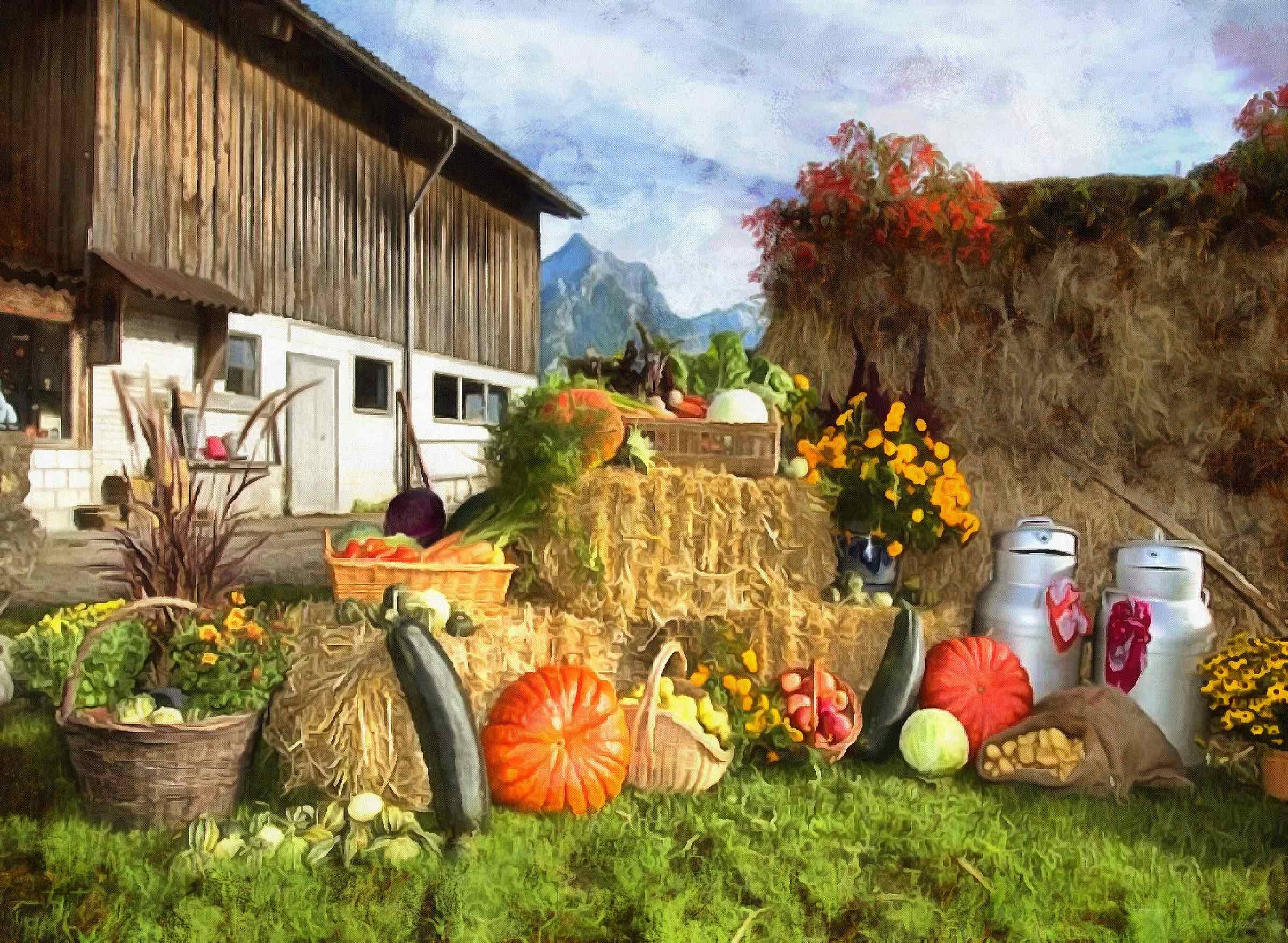 <br>harvest, farm, harvest, plenty of vegetables,