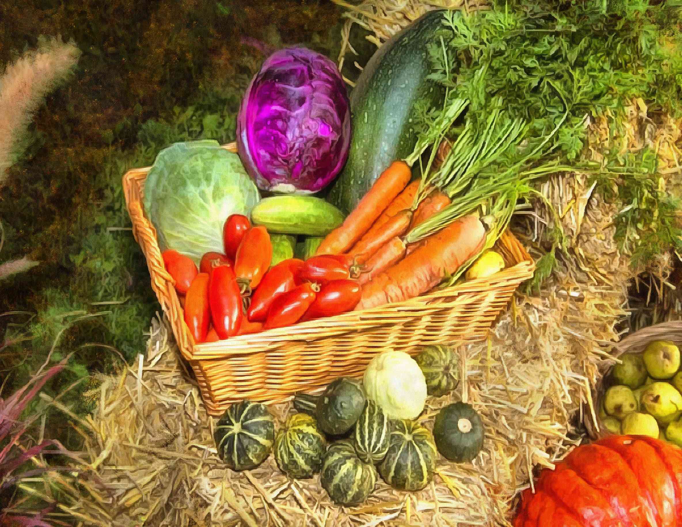 <br>Basket with vegetables, vegetables, carrots, harvest, straw,