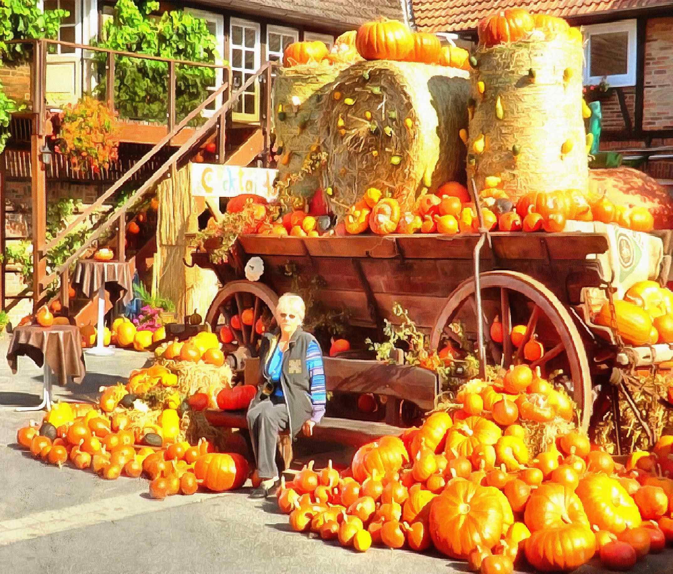 <br>many pumpkins, pumpkin festival, fair, pumpkin