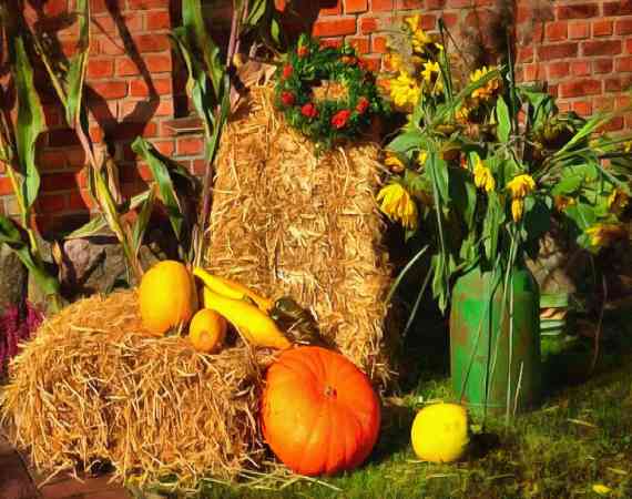 <br>hay, straw, pumpkins, harvest, harvesting,