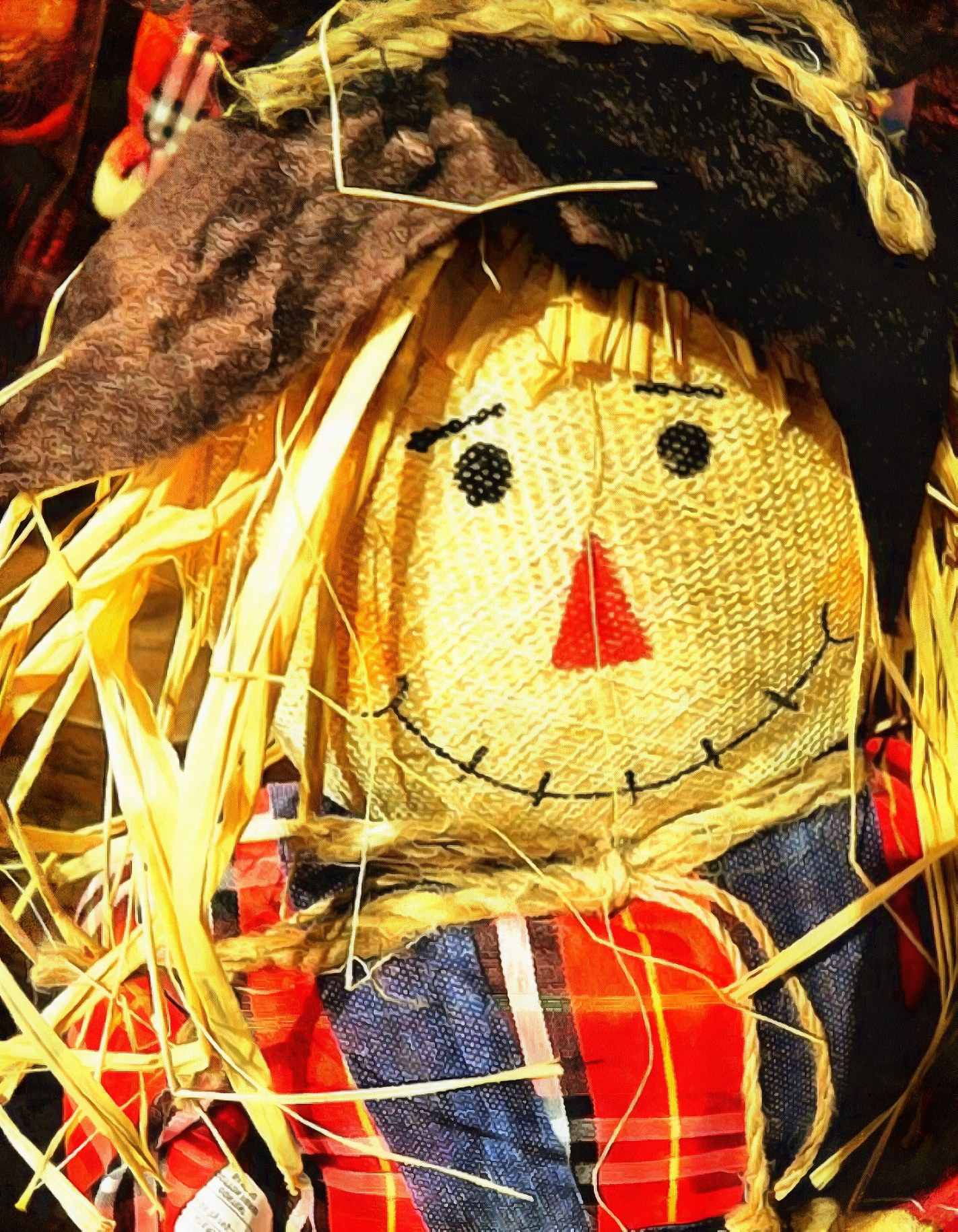 snout, smile, puppet, scarecrow,