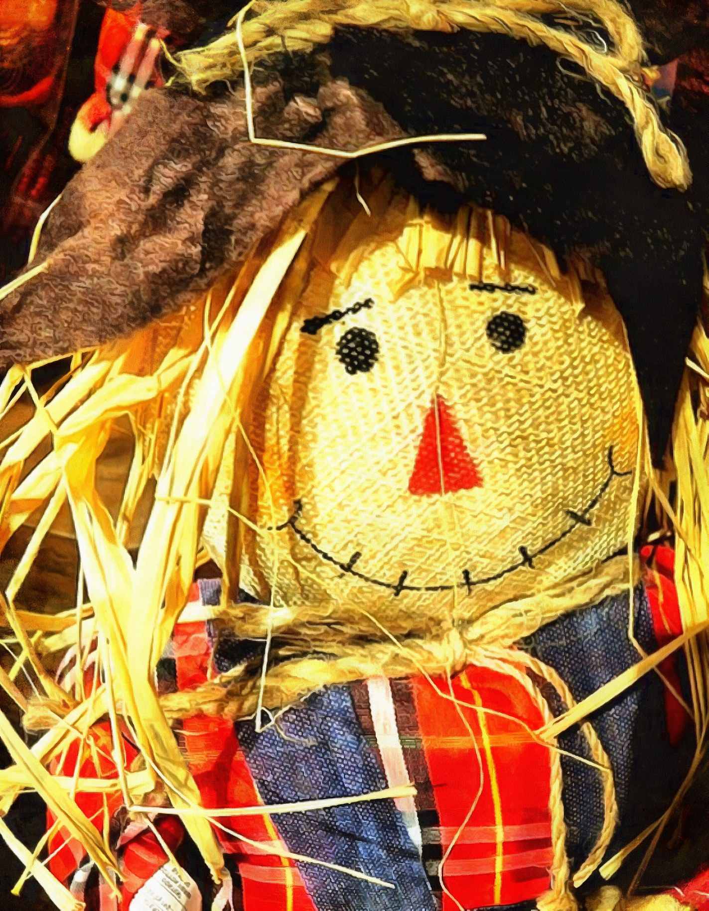 snout, smile, puppet, scarecrow,