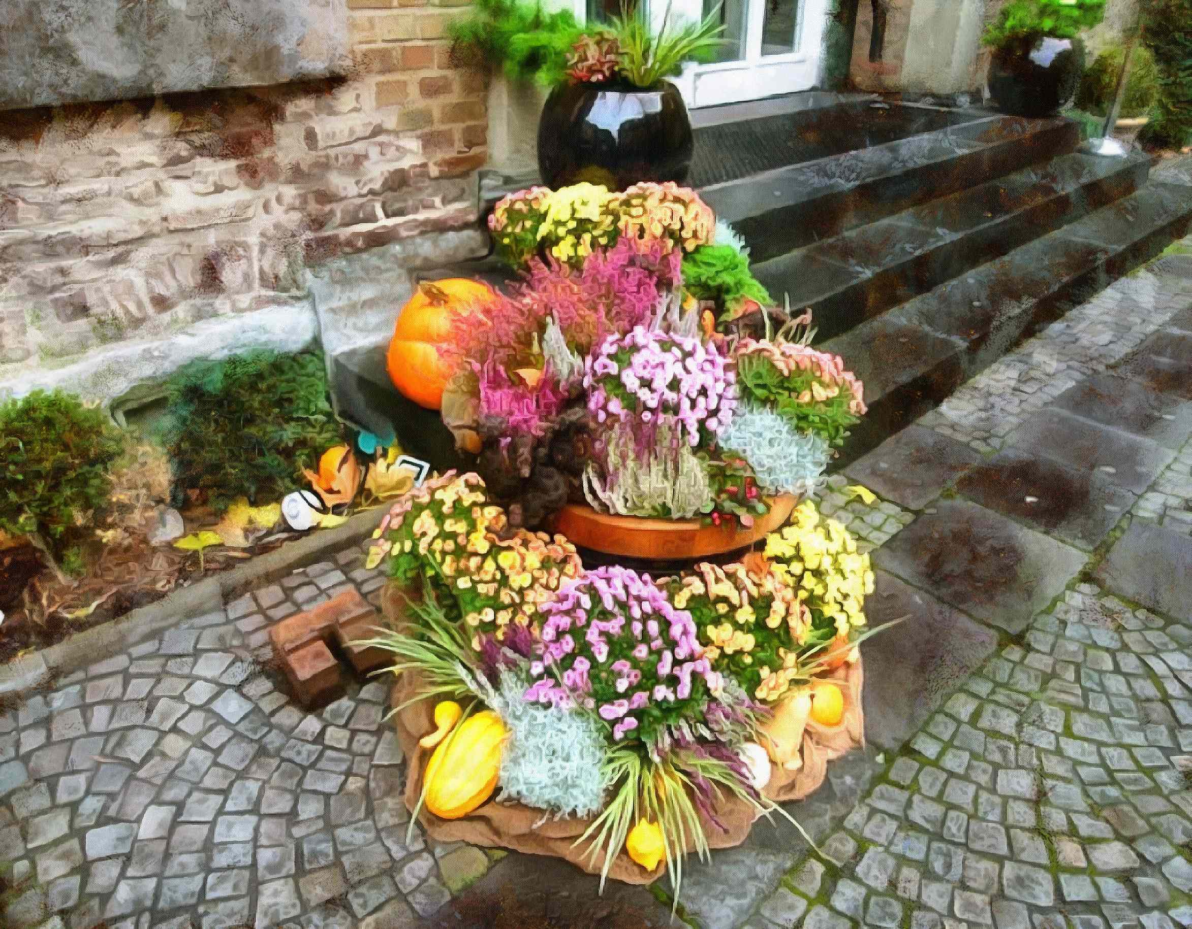 flowers, pumpkins, harvest, holiday,