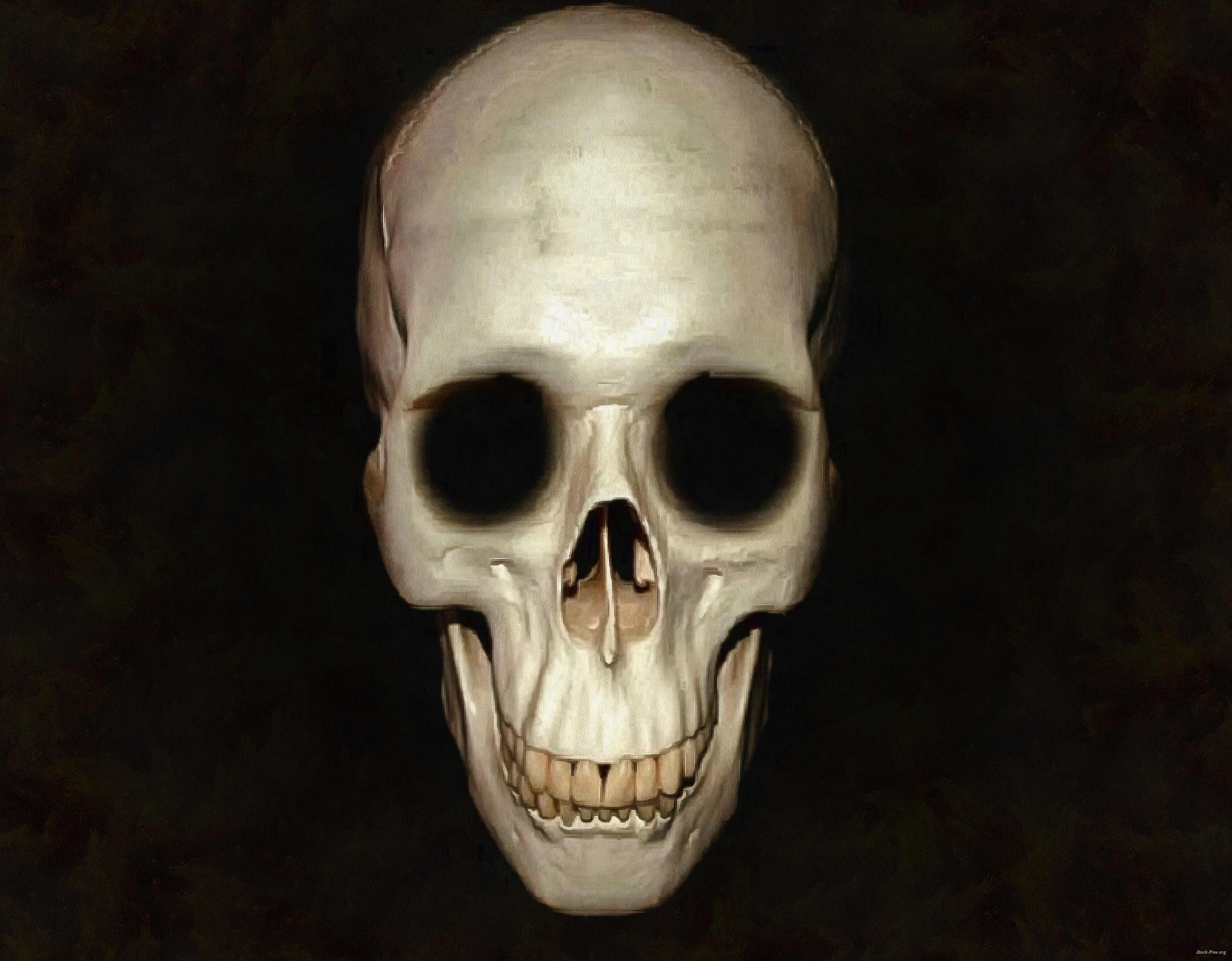 skull, head, bones, horror, halloween - halloween free image, free images, public domain images, stock free images, download image for free, halloween stock free images!