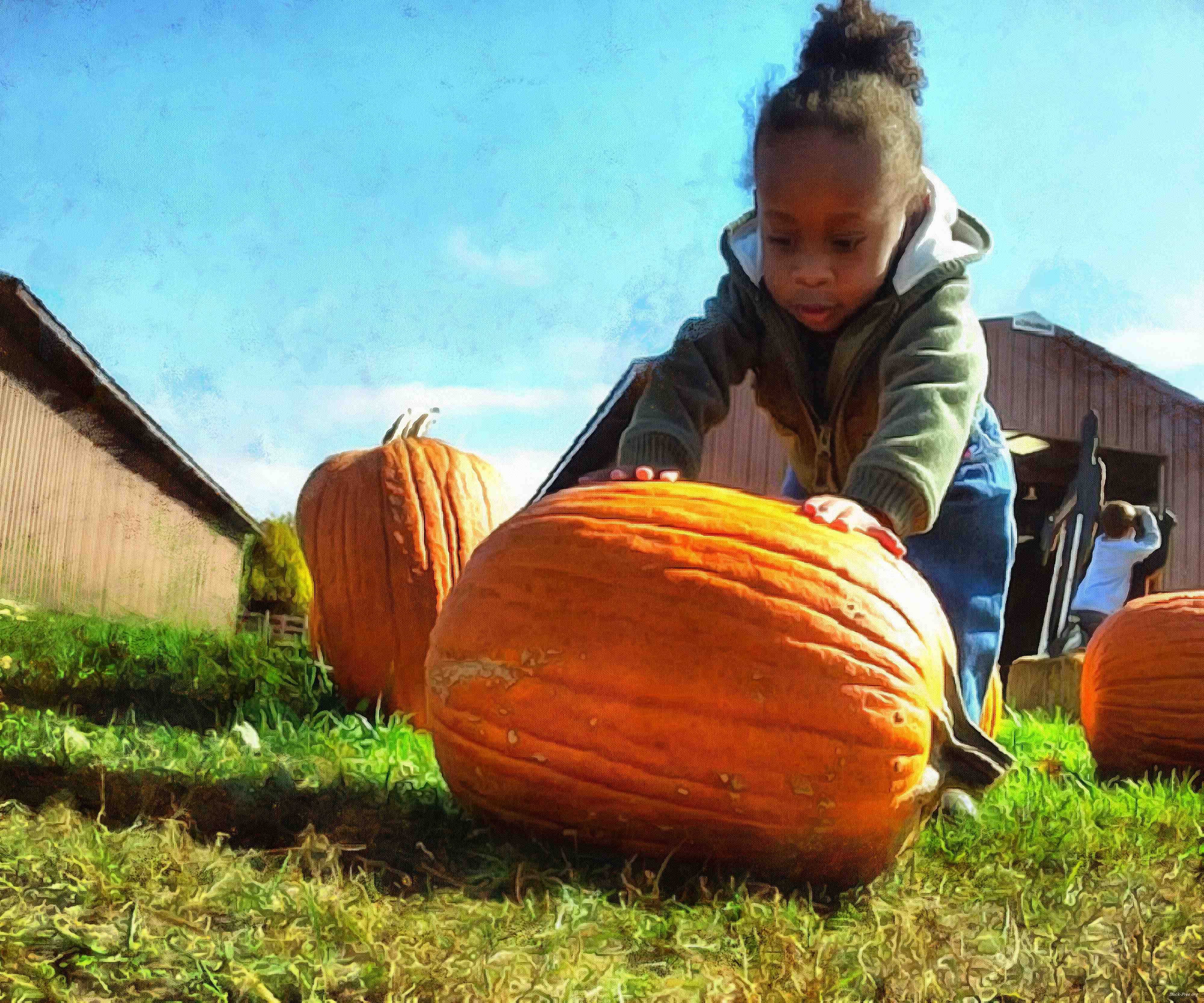 girl, kids, pumpkin, holiday, flame, candle, smile, candle, horror - halloween, holiday, free images, public domain images, free stock images, download images, free pictures<br>