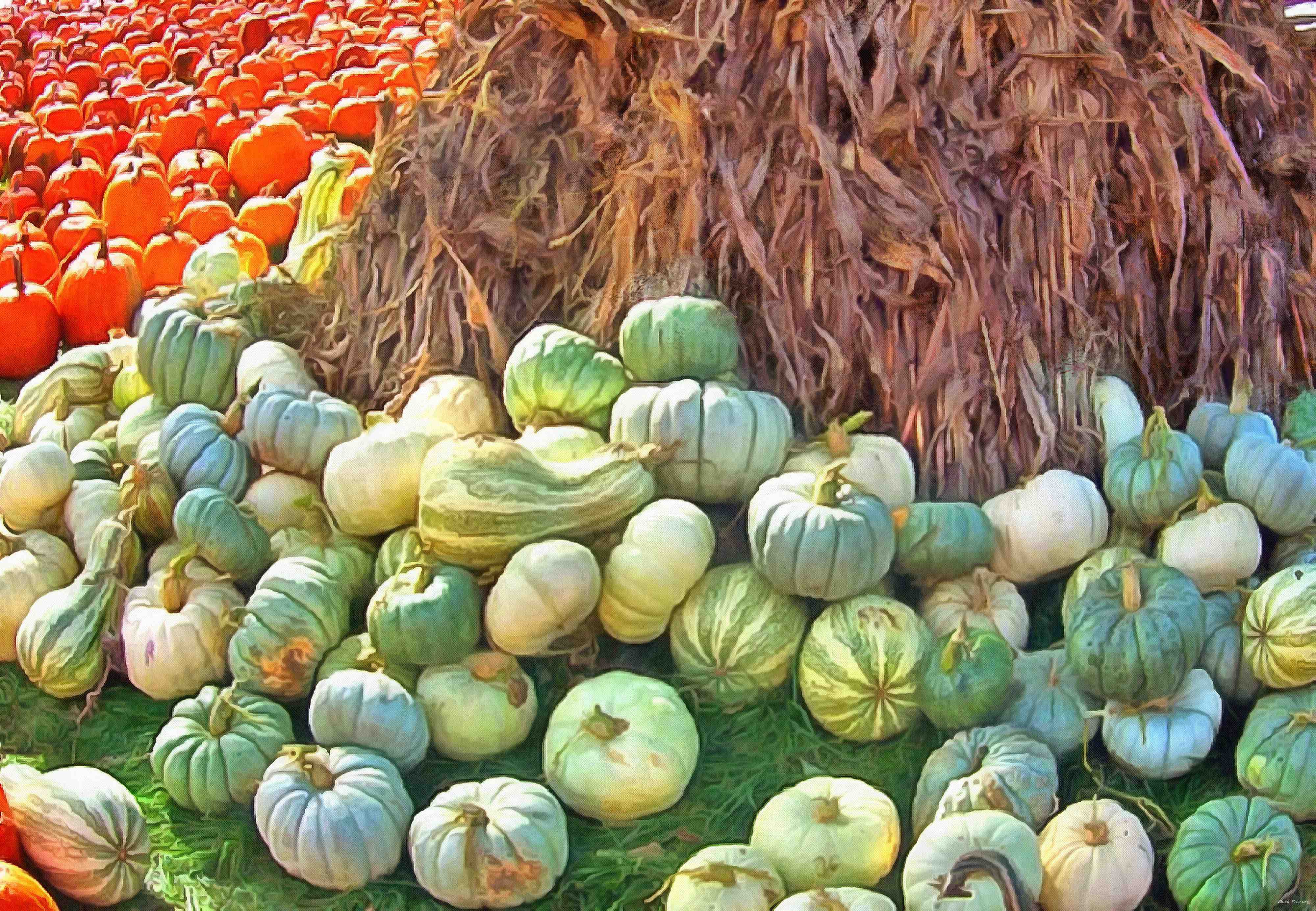 pumpkin, holiday, head, smile, vegetables, fun, - halloween, holiday, free images, public domain images, free stock images, download images, free pictures