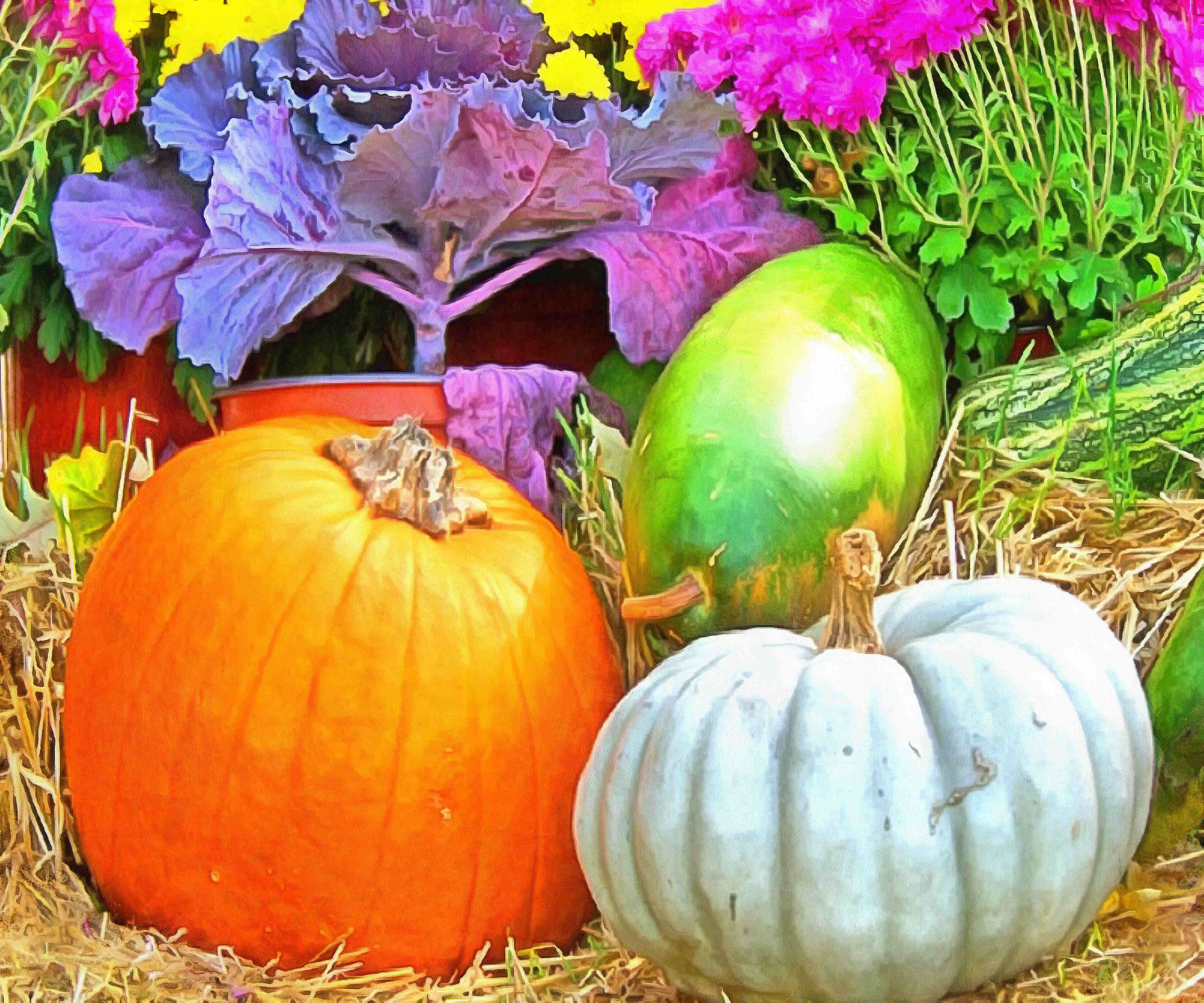 pumpkin, holiday, head, smile, vegetables, fun, - halloween, holiday, free images, public domain images, free stock images, download images, free pictures