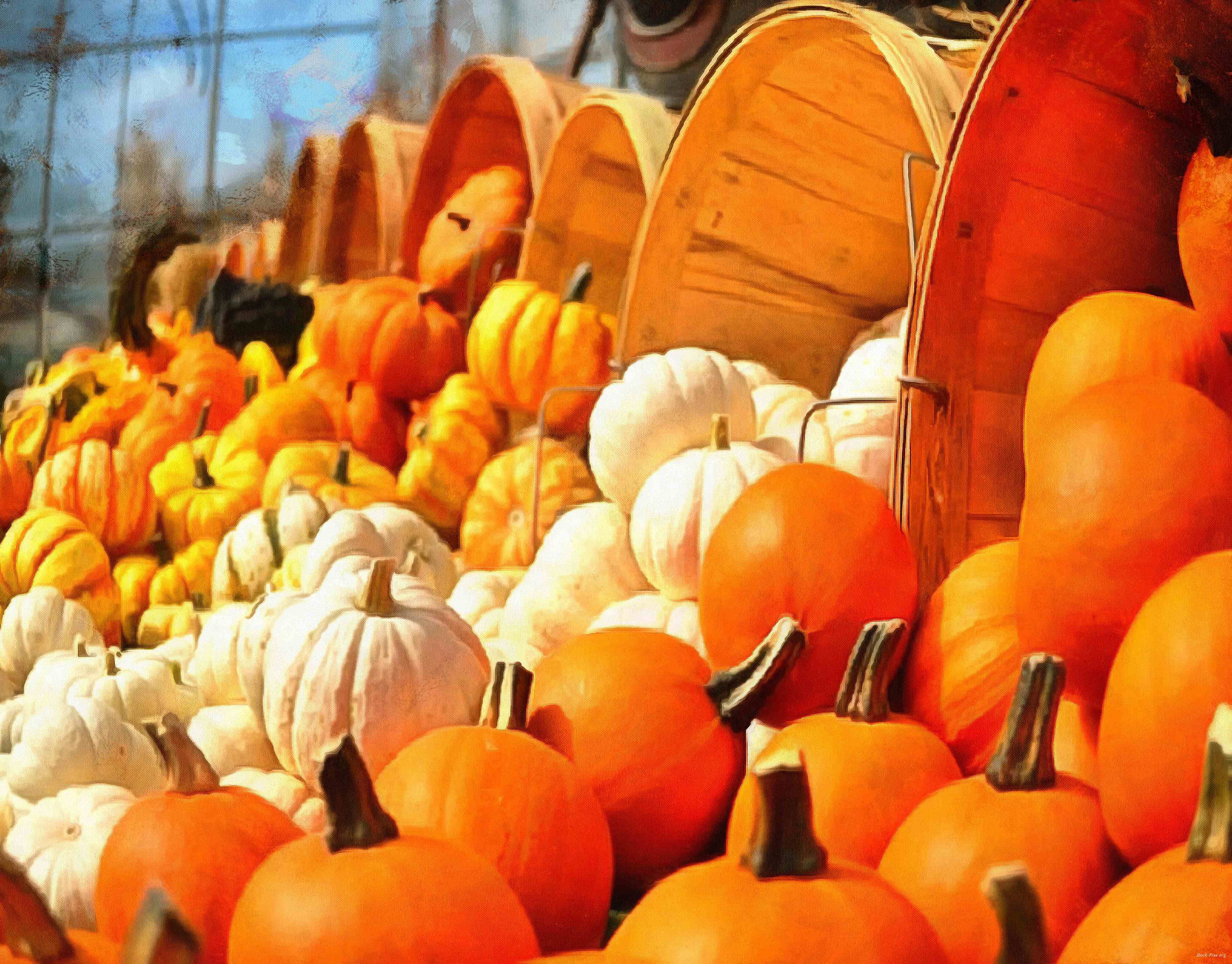 pumpkin, holiday, head, smile, vegetables, fun, - halloween, holiday, free images, public domain images, free stock images, download images, free pictures