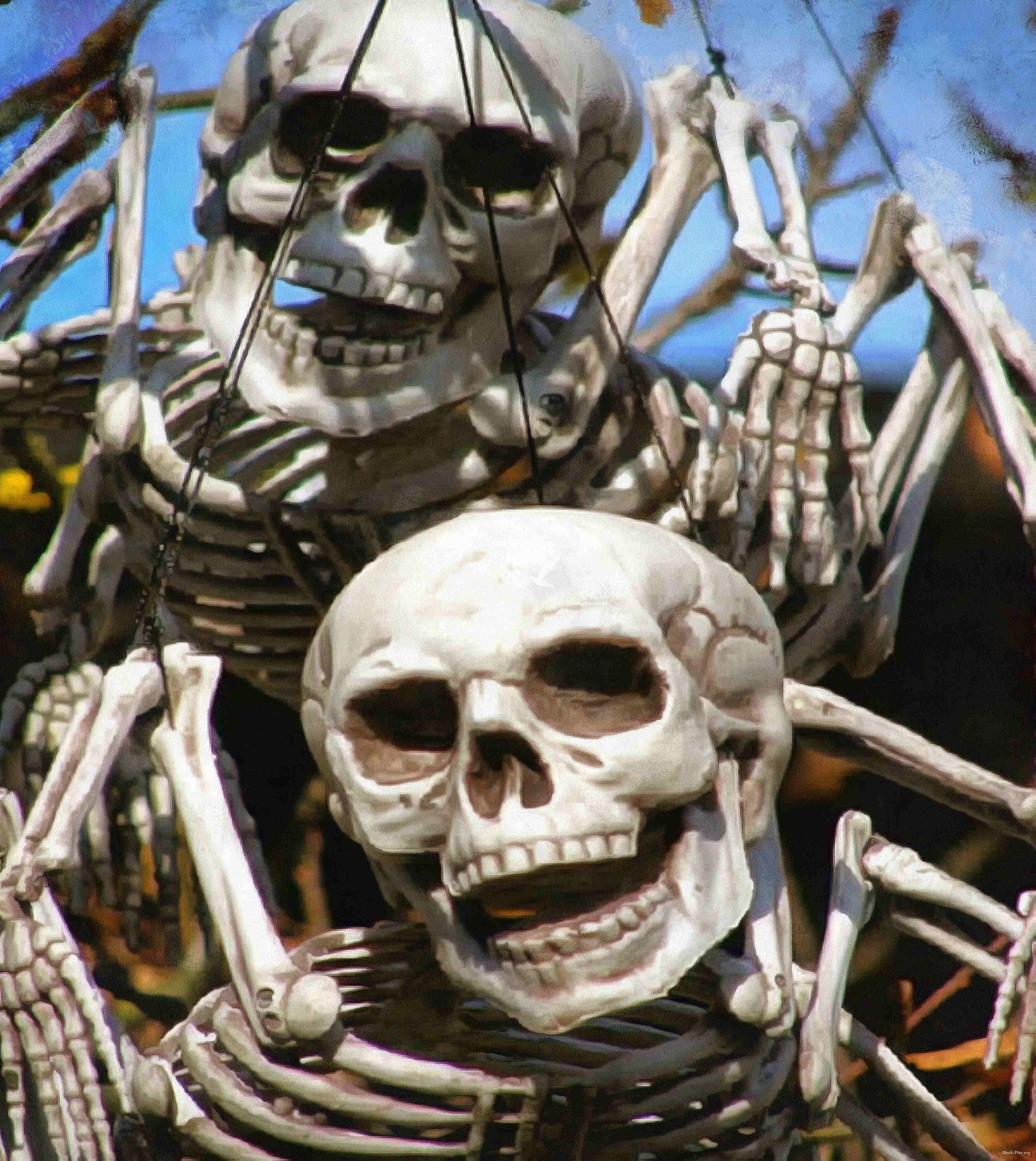  skull  head  bones horror halloween 