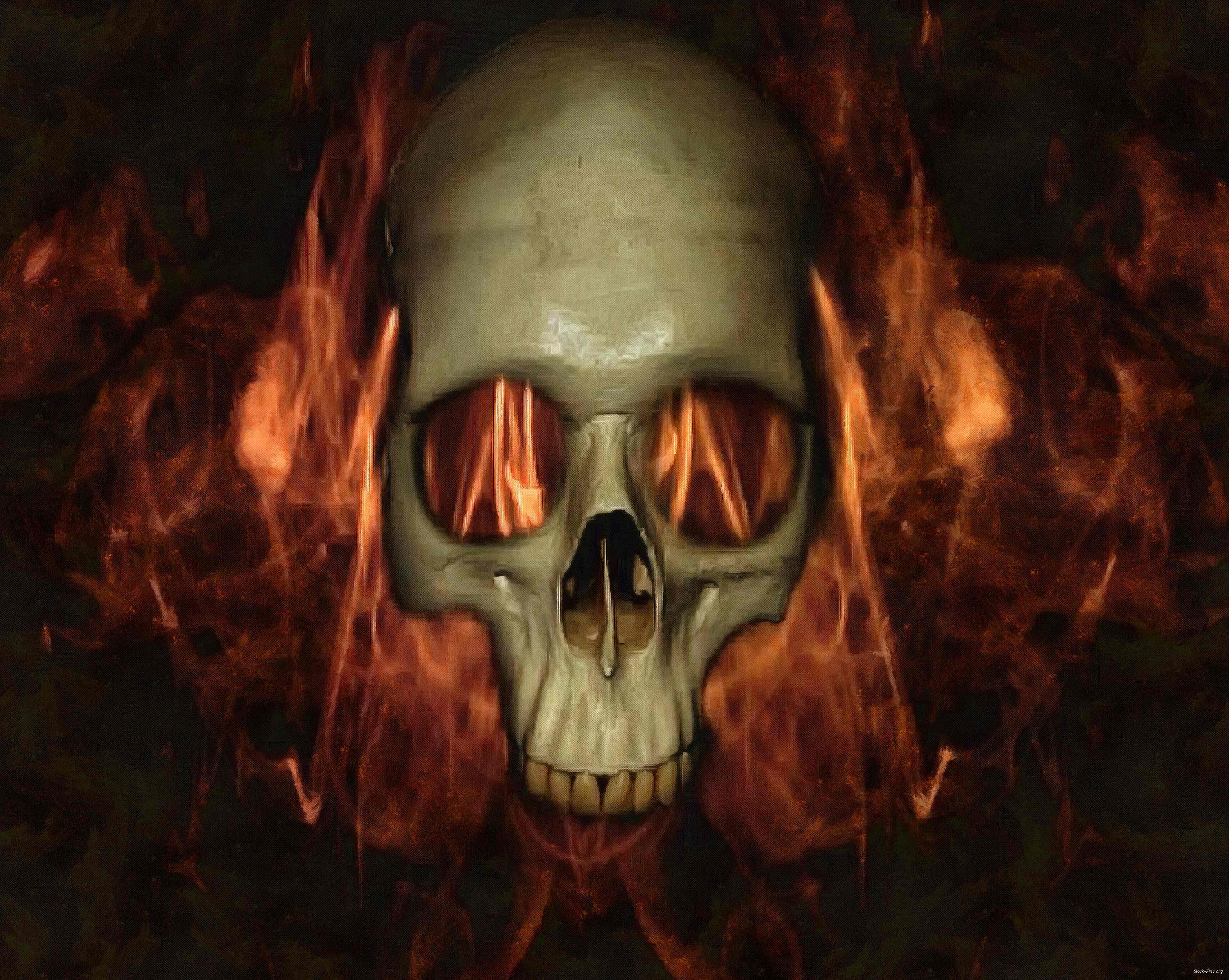 skull, head, bones, horror, halloween - halloween free image, free images, public domain images, stock free images, download image for free, halloween stock free images!