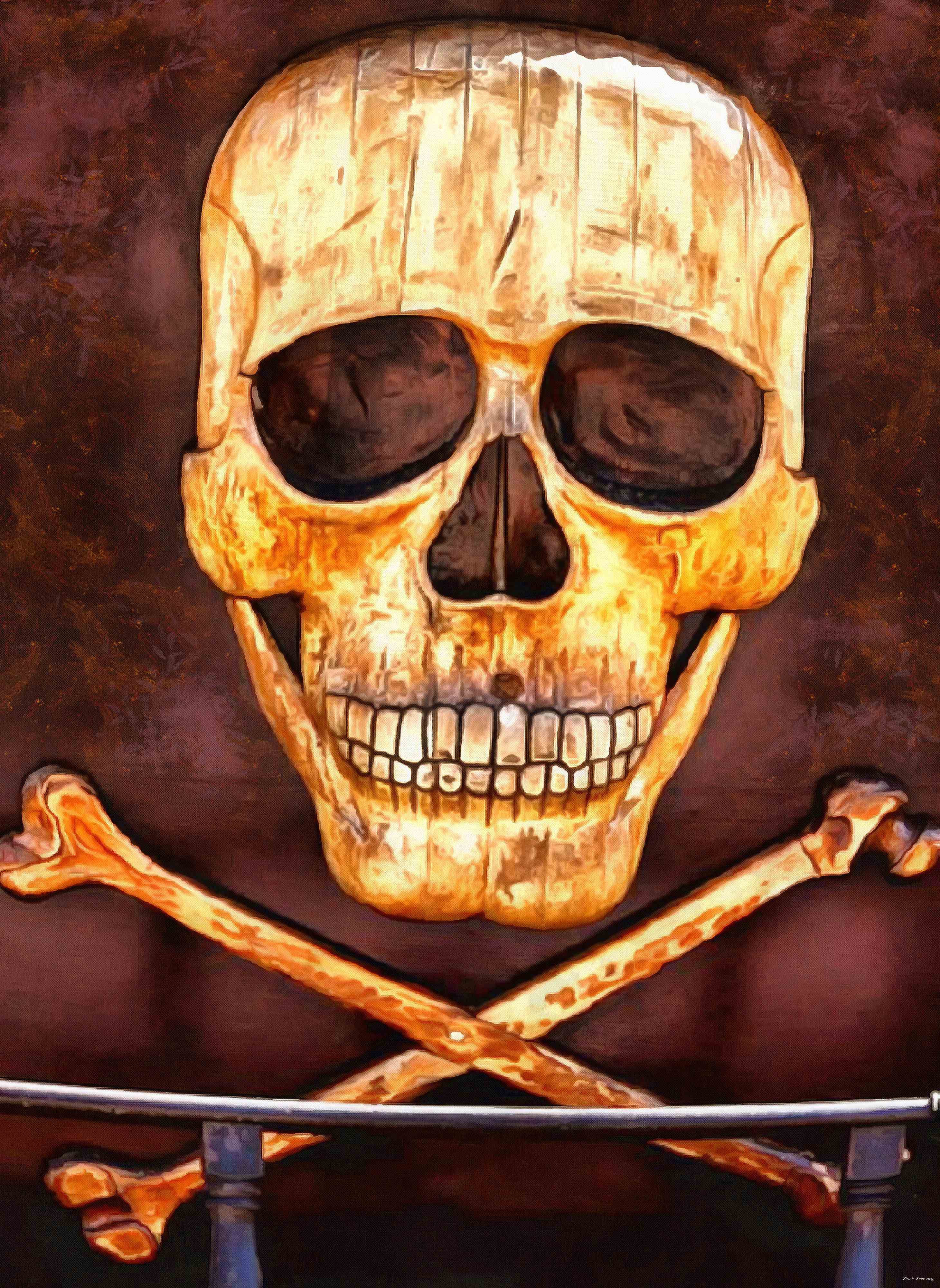 skull, head, bones, horror, skeleton, fear, smile, halloween - halloween free image, free images, public domain images, stock free images, download image for free, halloween stock free images