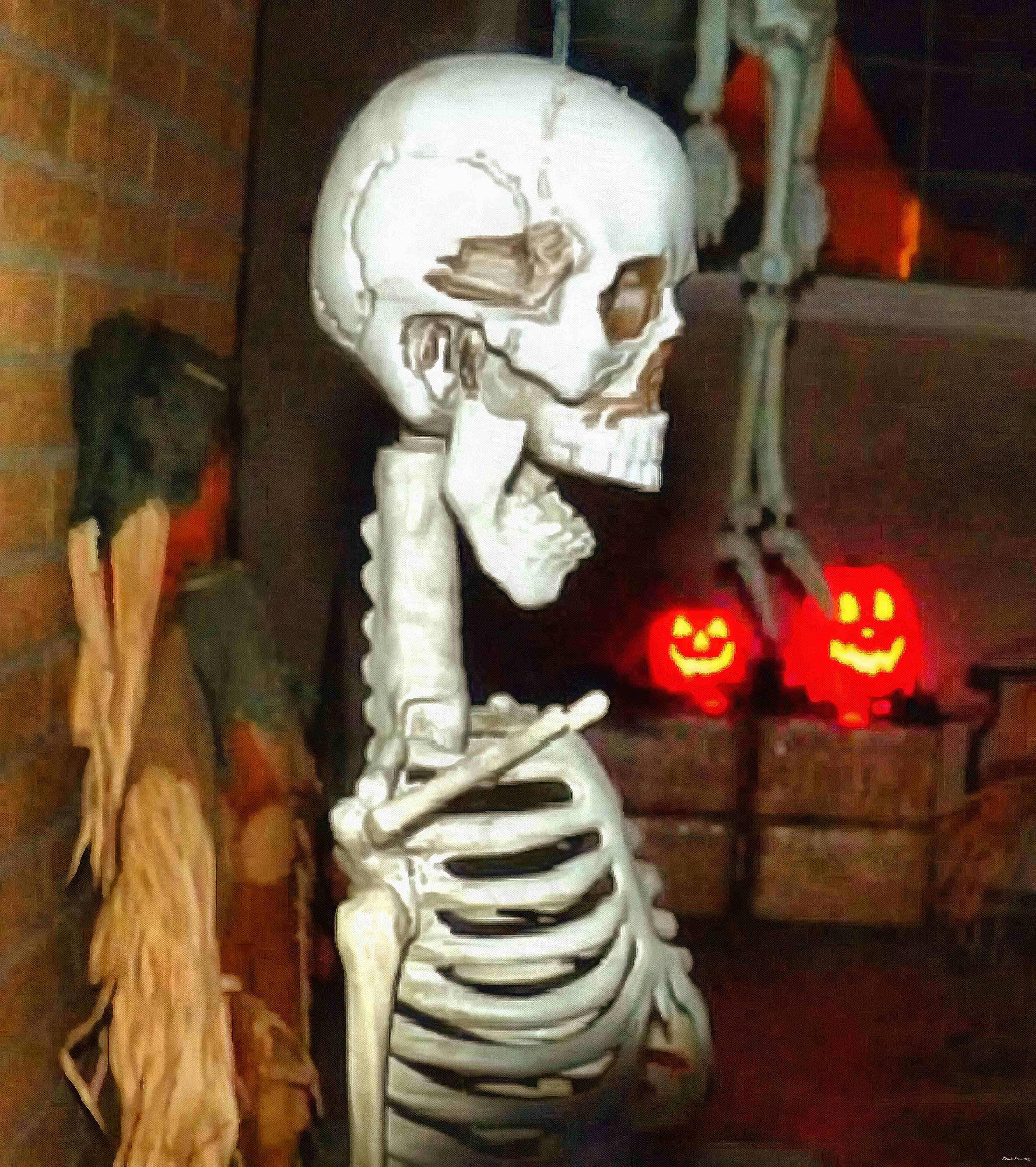 skull, head, bones, horror, skeleton, fear, smile, halloween - halloween free image, free images, public domain images, stock free images, download image for free, halloween stock free images