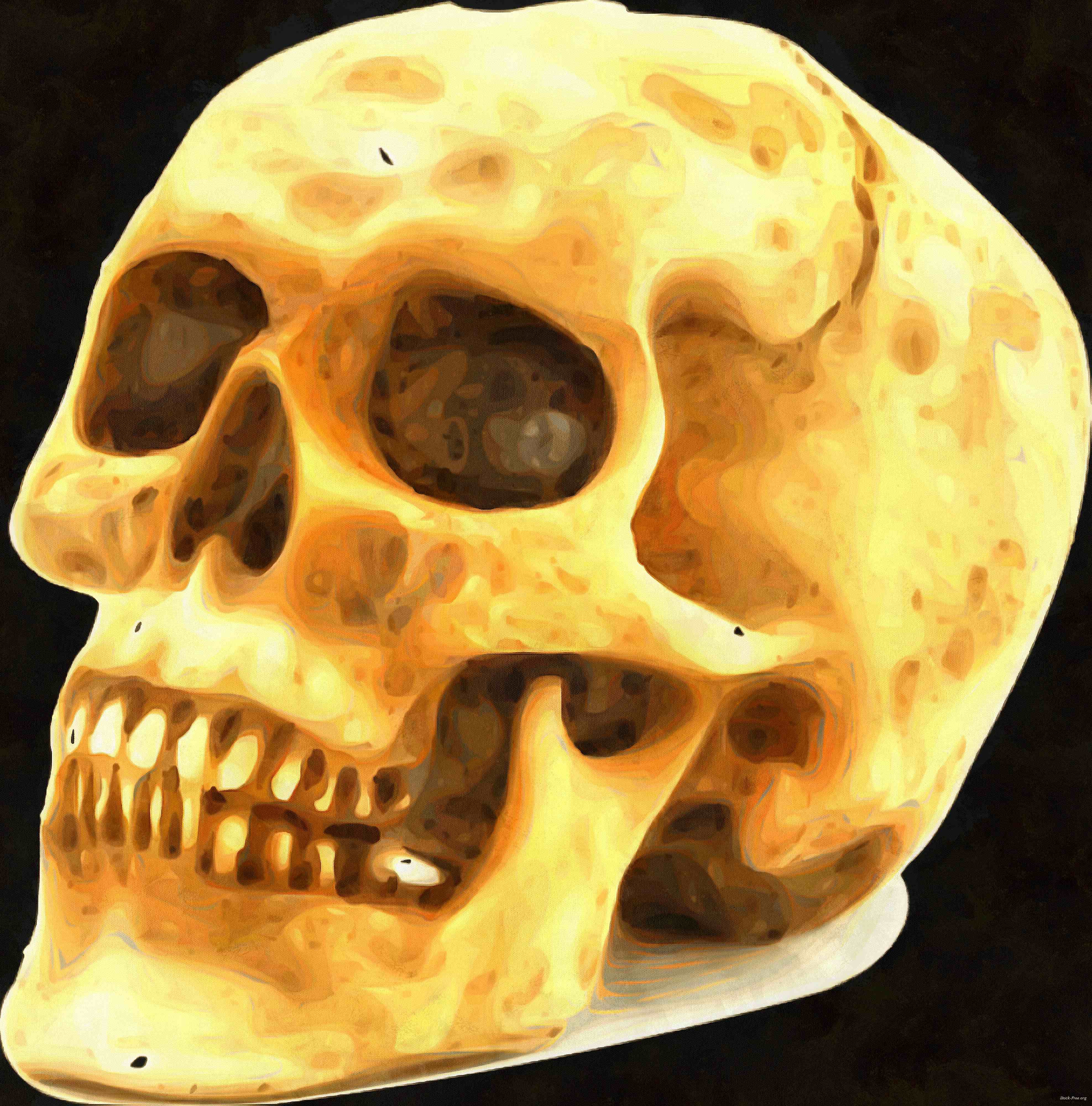 skull, head, bones, horror, skeleton, fear, smile, halloween - halloween free image, free images, public domain images, stock free images, download image for free, halloween stock free images