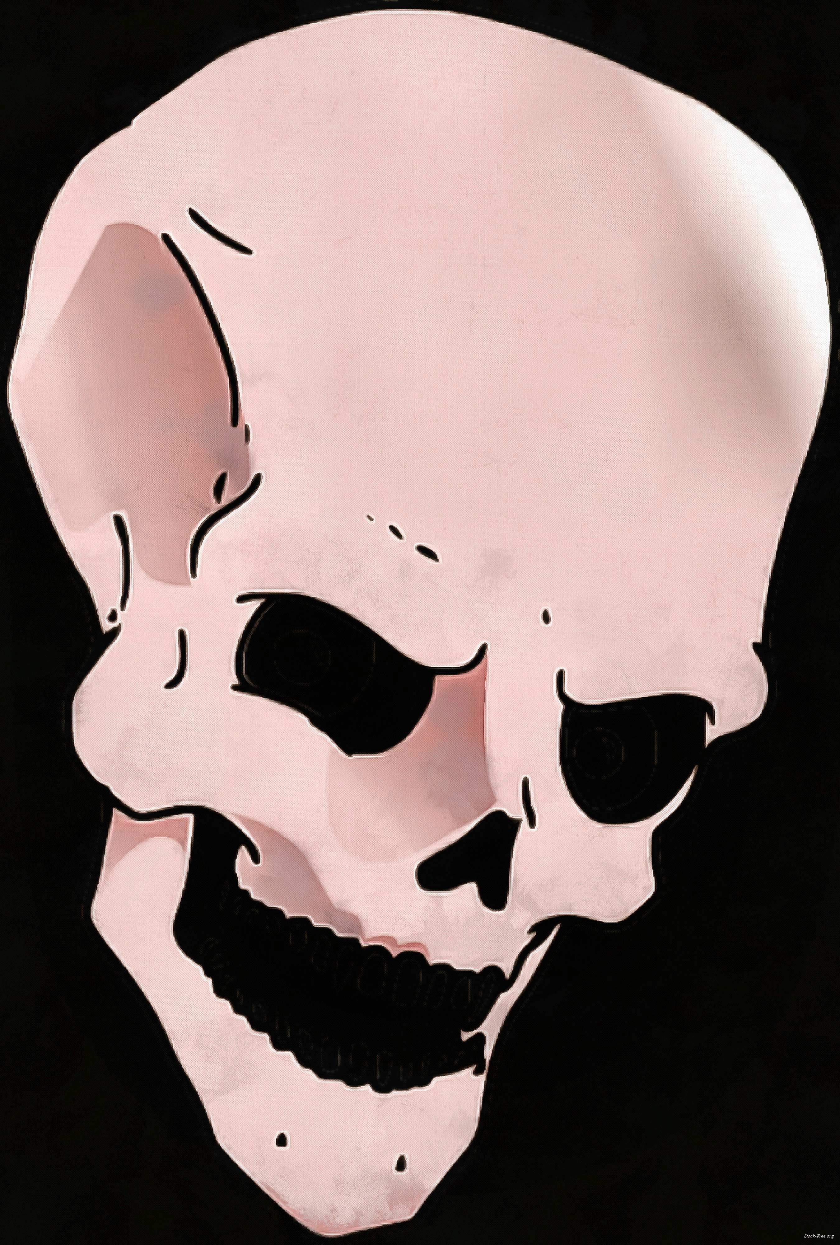 skull, head, bones, horror, skeleton, fear, smile, halloween - halloween free image, free images, public domain images, stock free images, download image for free, halloween stock free images