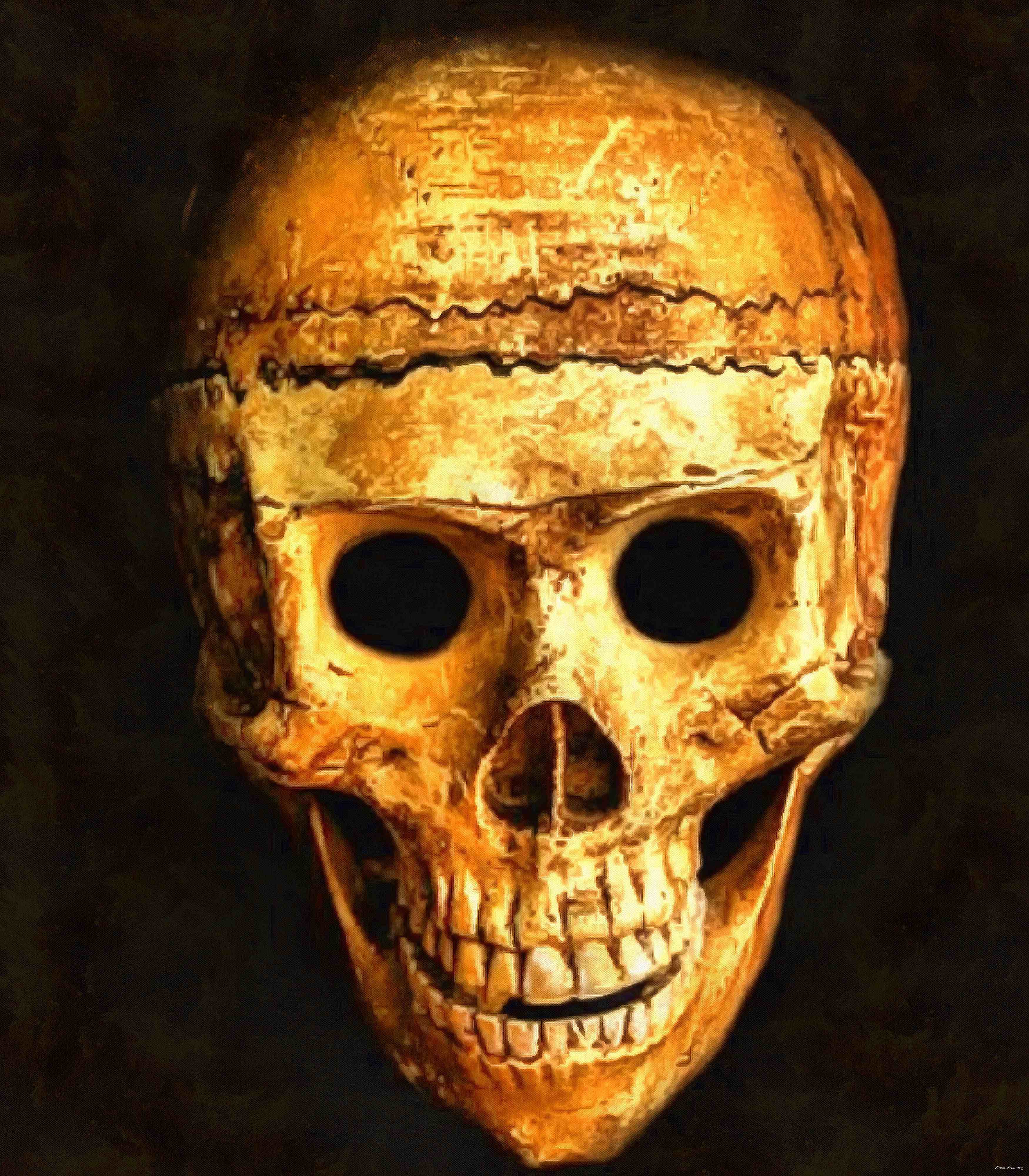 skull, head, bones, horror, skeleton, fear, smile, halloween - halloween free image, free images, public domain images, stock free images, download image for free, halloween stock free images