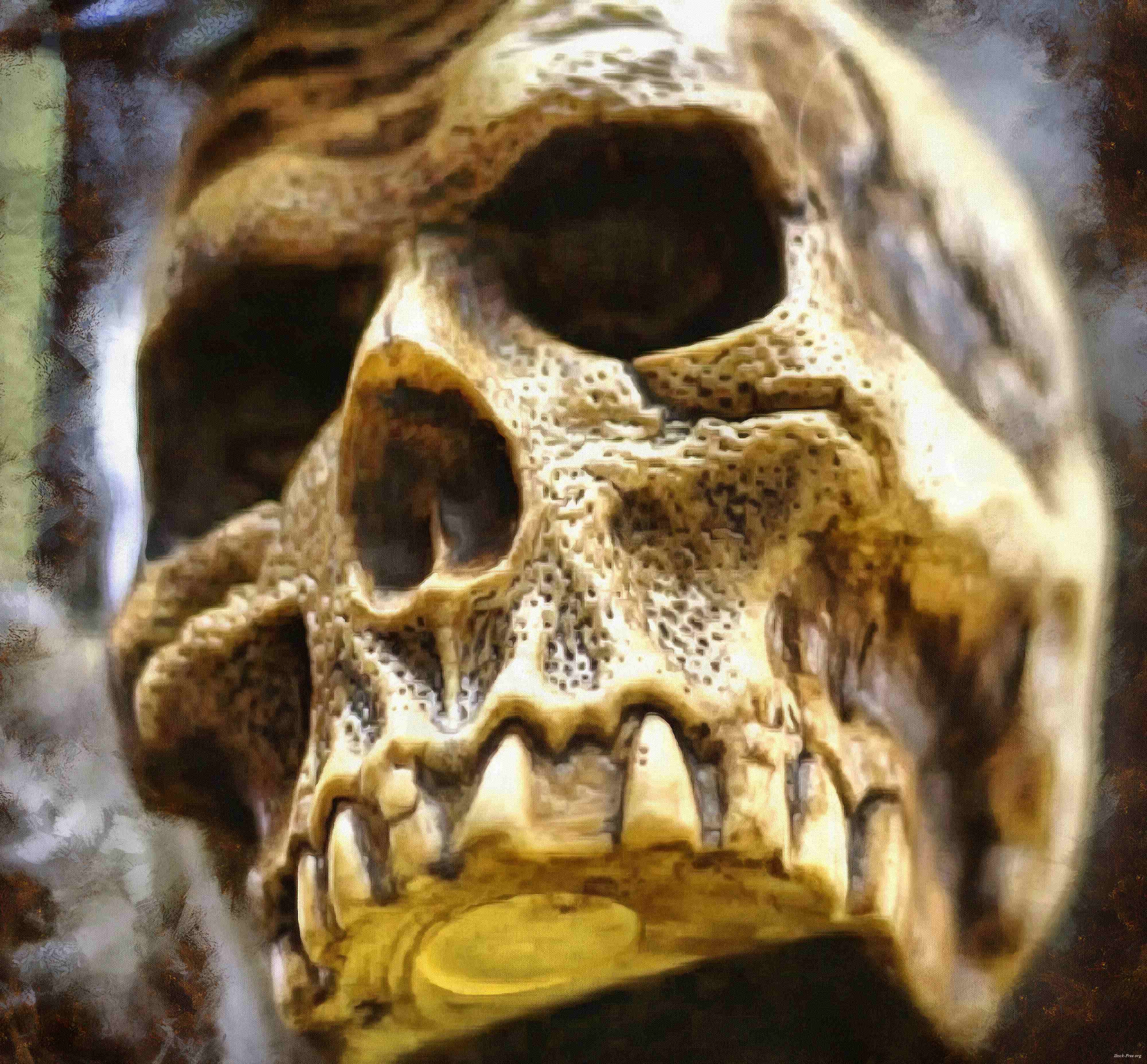 skull, head, bones, horror, skeleton, fear, smile, halloween - halloween free image, free images, public domain images, stock free images, download image for free, halloween stock free images