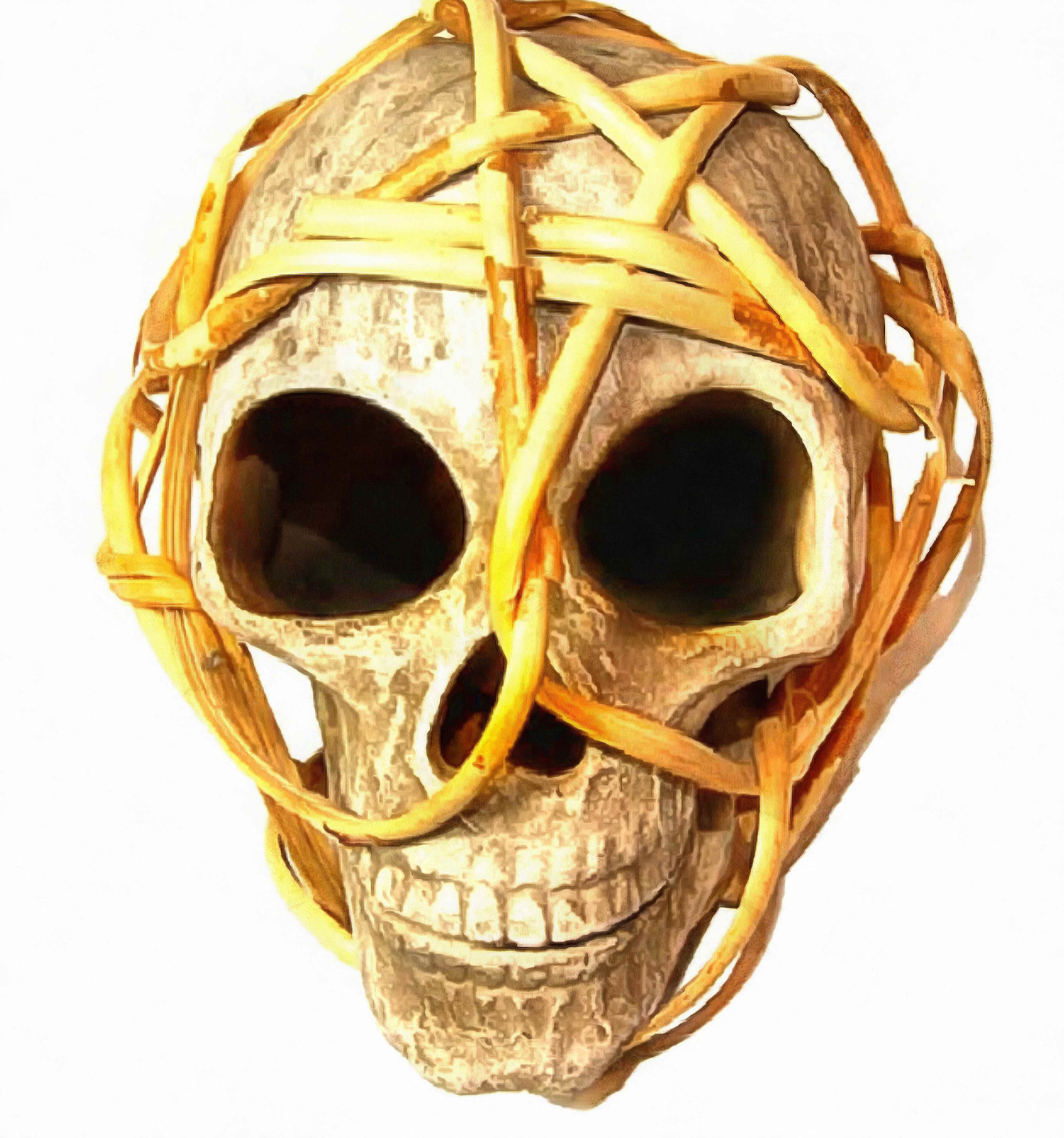 skull, head, bones, horror, skeleton, fear, smile, halloween - halloween free image, free images, public domain images, stock free images, download image for free, halloween stock free images