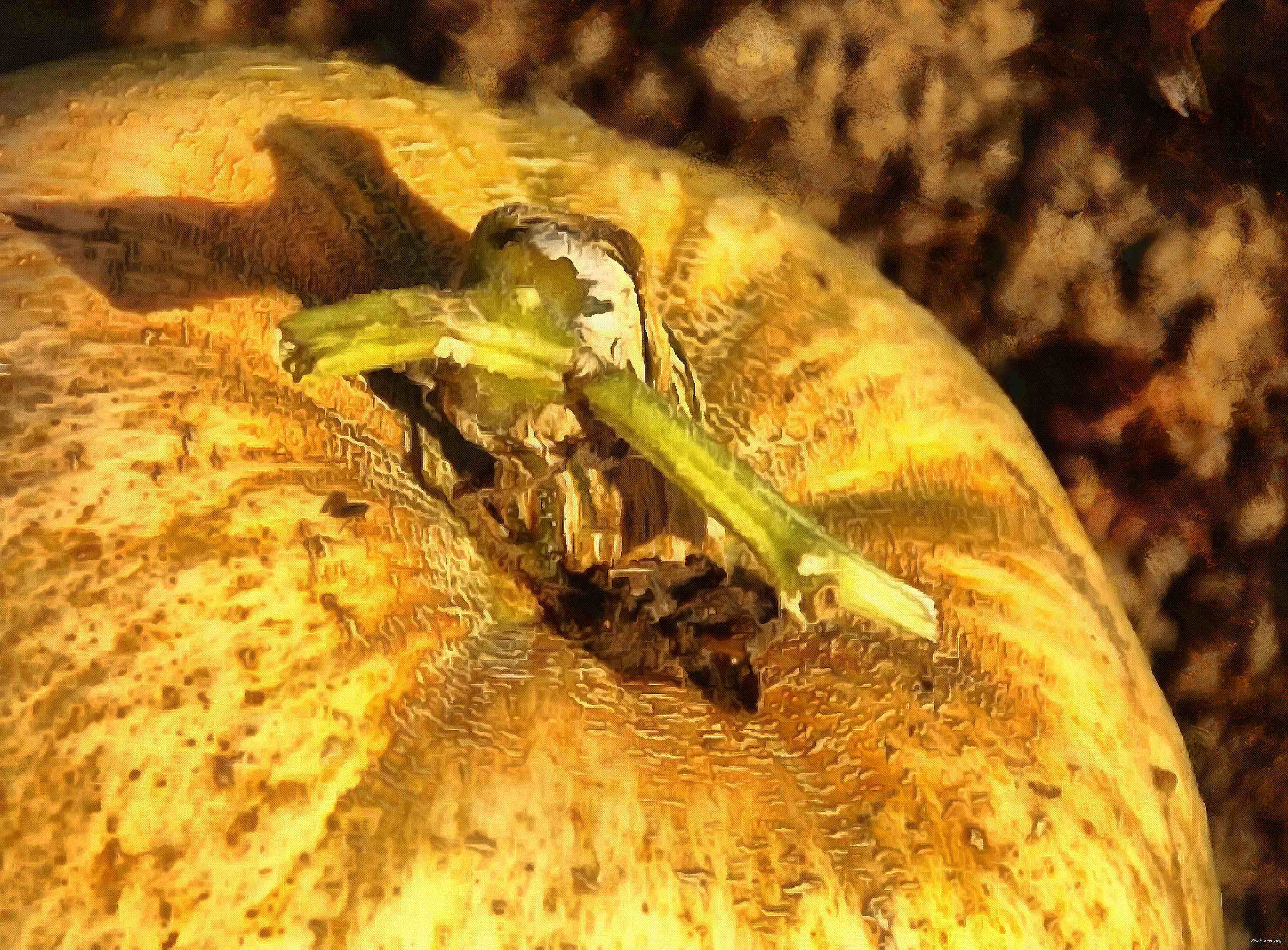 pumpkin, head, vegetable, flame, holiday, candle, celebration,  - halloween, free photos, freeimages, free stock images, public domain images, download free images, stock free images 