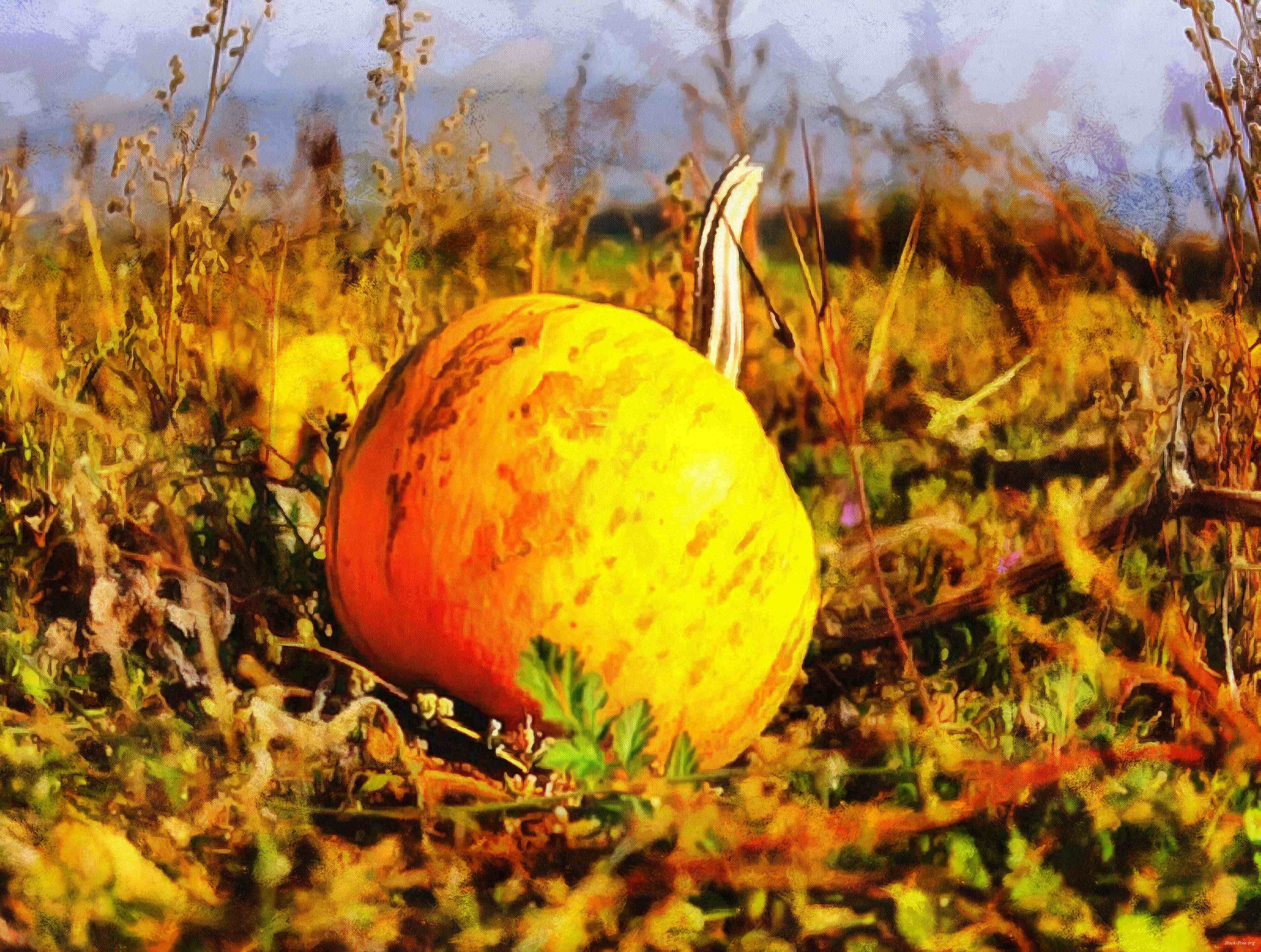 pumpkin, head, vegetable, flame, holiday, candle, celebration,  - halloween, free photos, freeimages, free stock images, public domain images, download free images, stock free images 