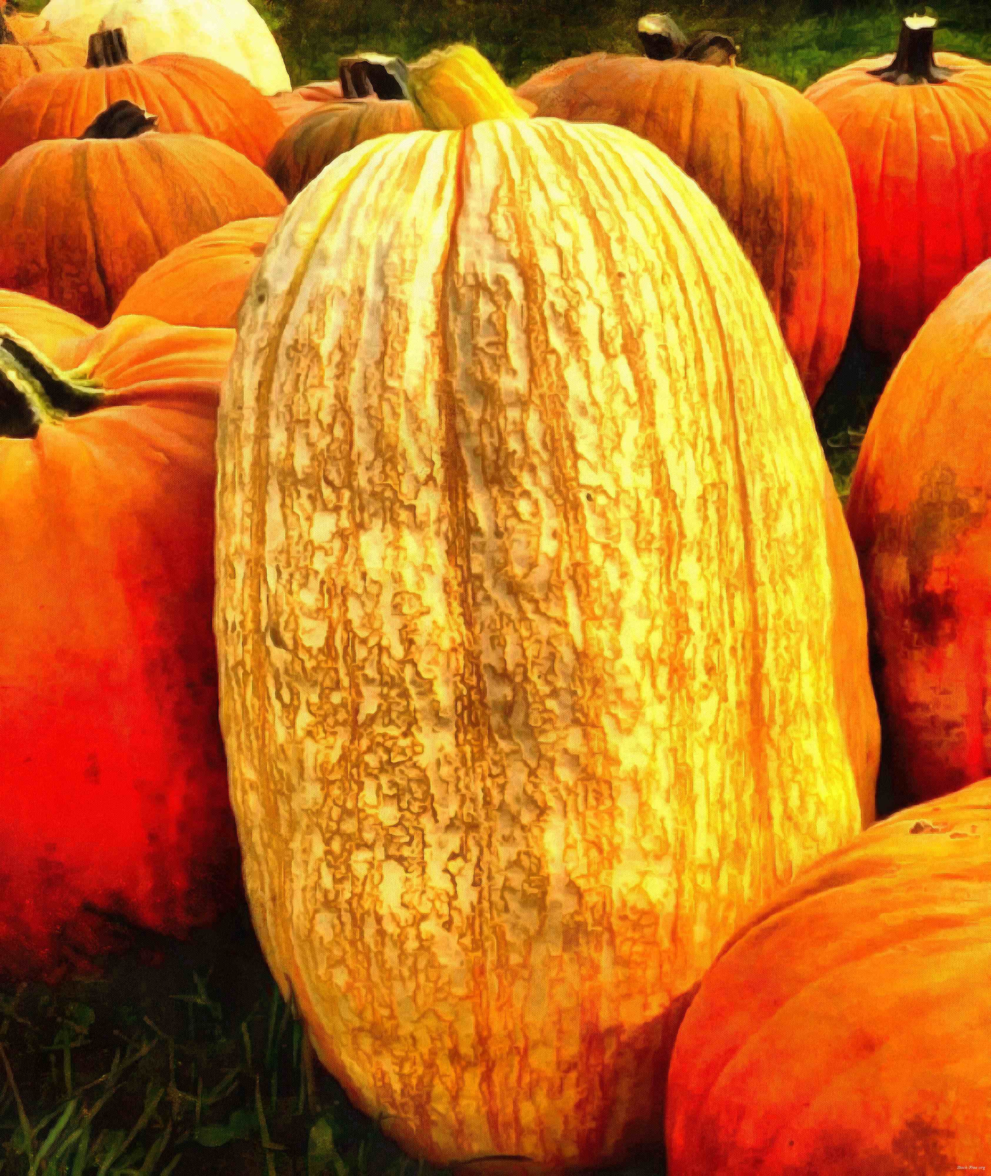 carved pumpkin, head, vegetable, flame, holiday, event, candle, celebration, Pumpkin  - halloween, free photos, free images, free stock photos, public domain images, stock free images, download free images