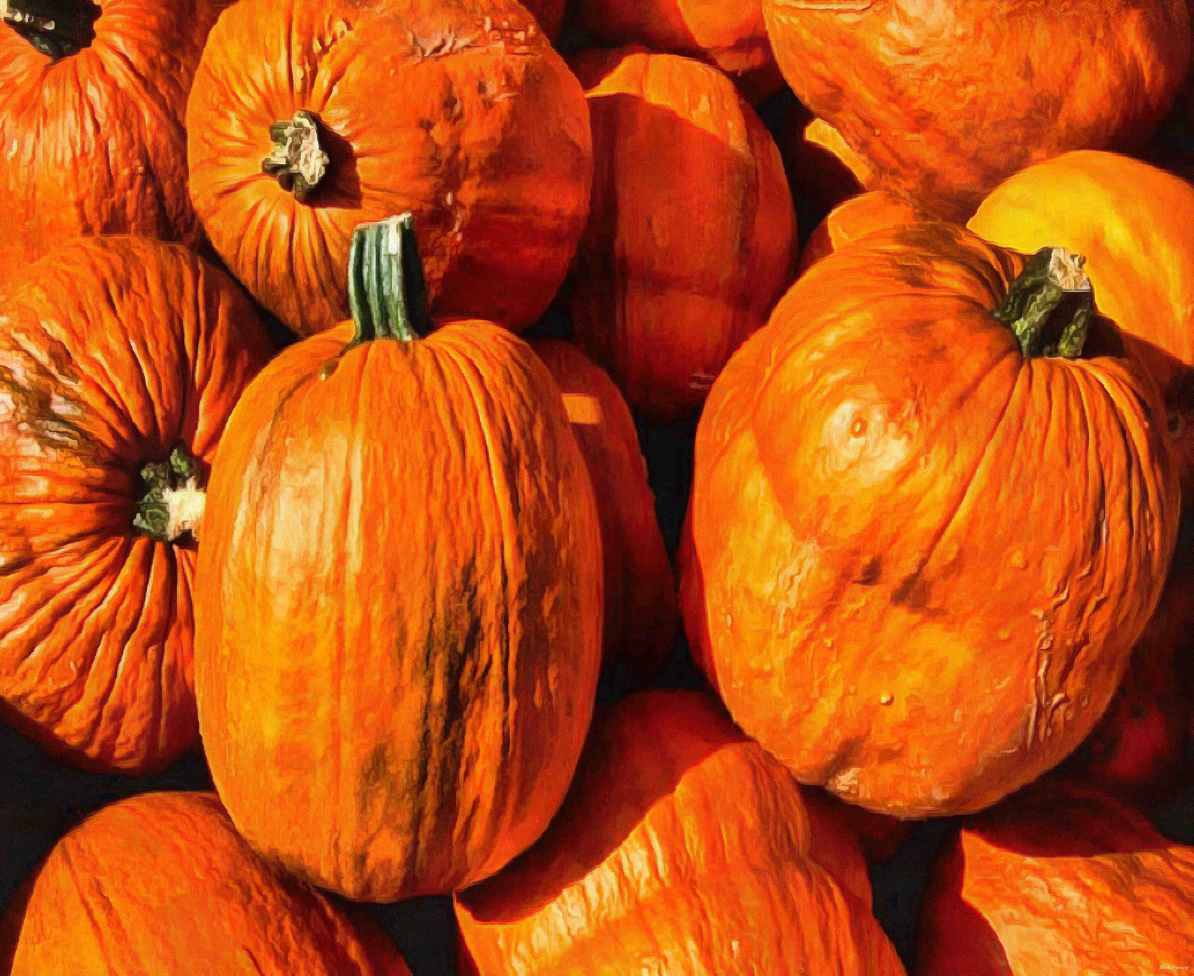 сelebration, pumpkin, holiday, lots of pumpkins, garden, spooky, halloween -  stock free photos, public domain images, download free images, free stock images, public domain