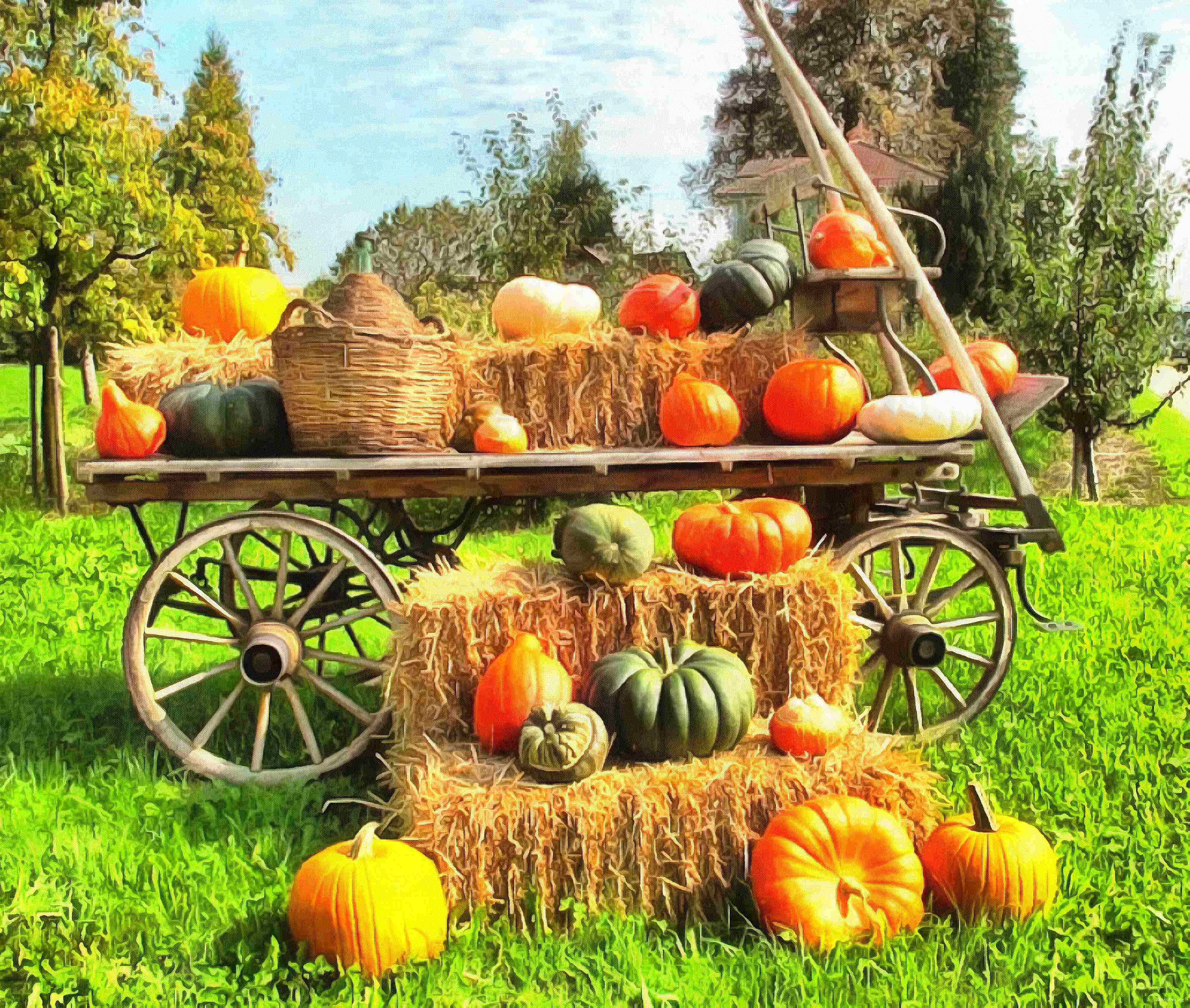 pumpkin, wheelbarrow, cart, trade, tray, stall, holiday, lots of pumpkins, garden, spooky, halloween -  stock free photos, public domain images, download free images, free stock images, public domain