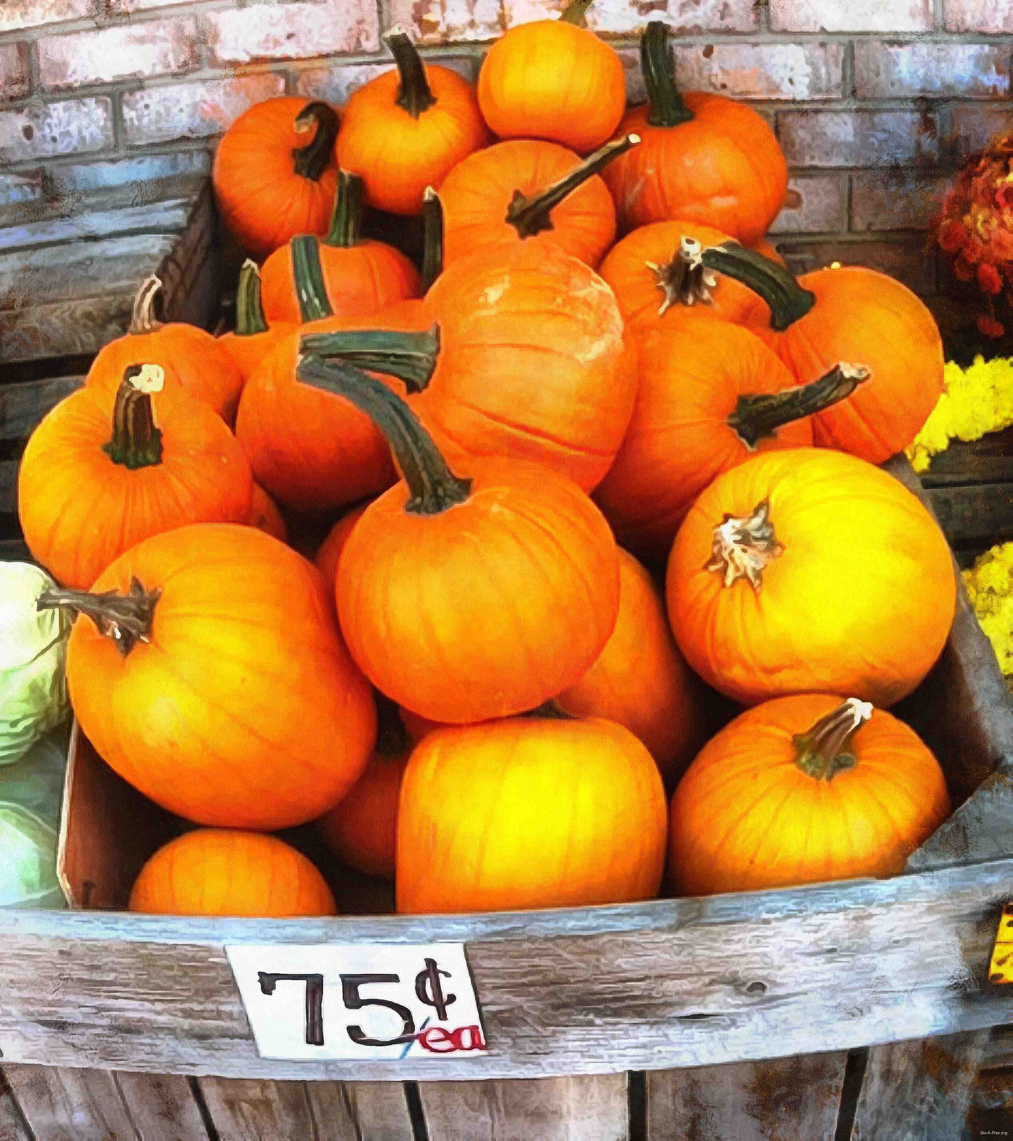 pumpkin, wheelbarrow, cart, trade, tray, stall, holiday, lots of pumpkins, garden, spooky, halloween -  stock free photos, public domain images, download free images, free stock images, public domain