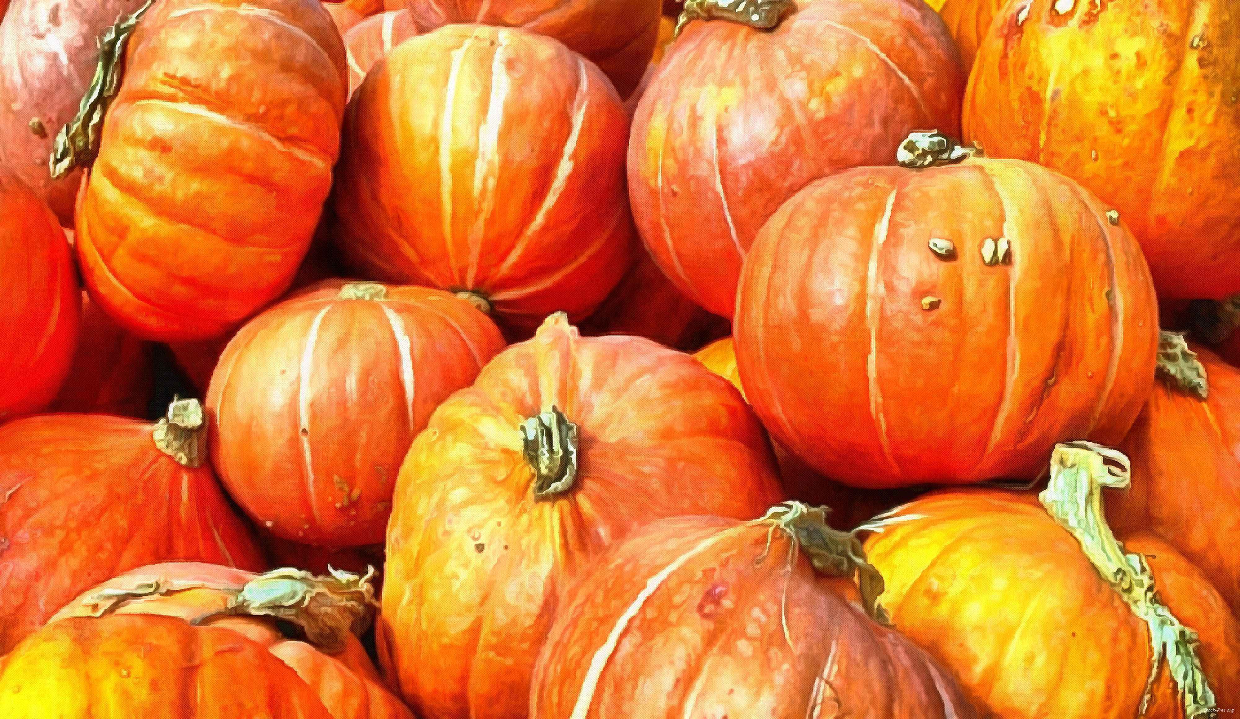 pumpkin, wheelbarrow, cart, trade, tray, stall, holiday, lots of pumpkins, garden, spooky, halloween -  stock free photos, public domain images, download free images, free stock images, public domain