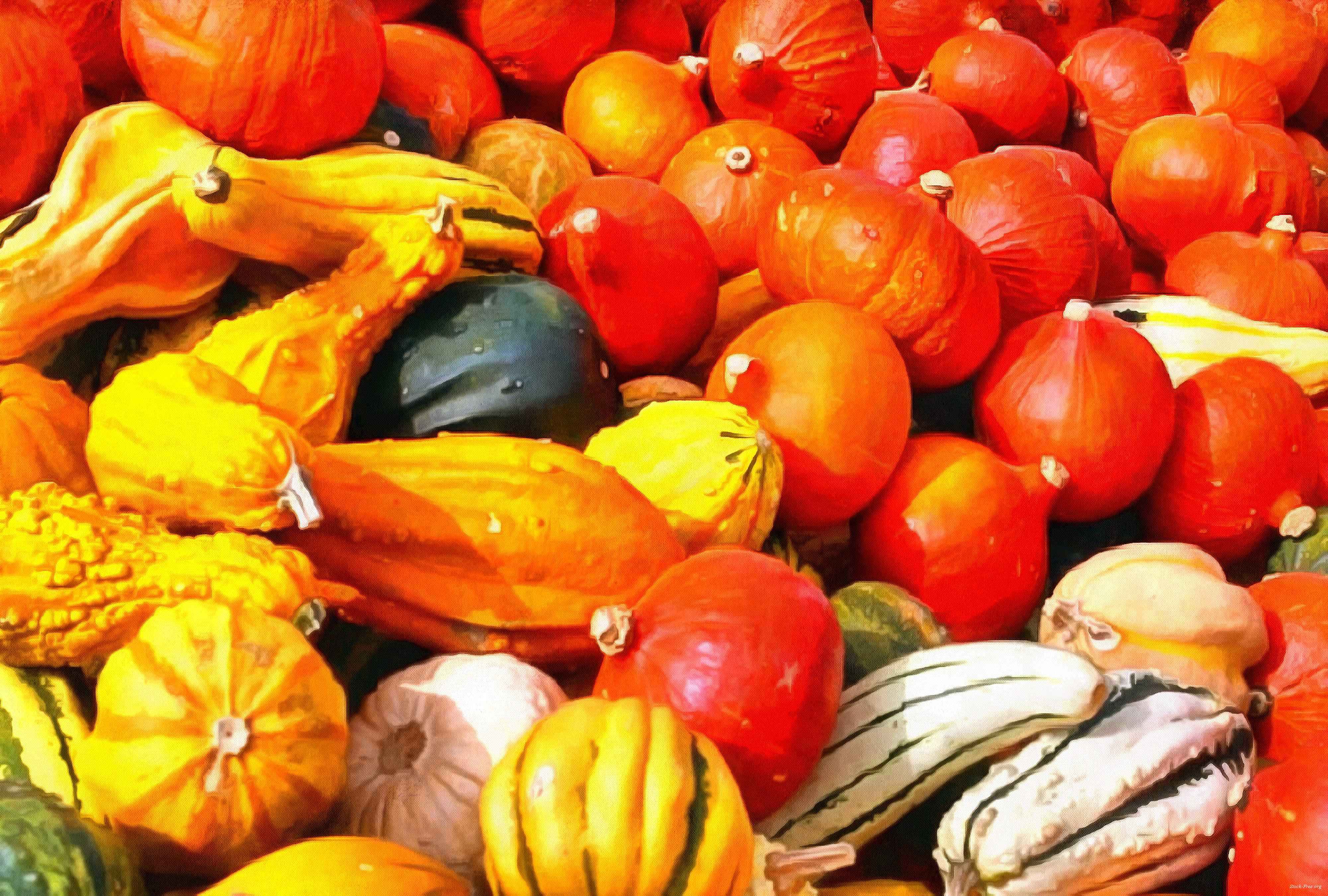 pumpkin, wheelbarrow, cart, trade, tray, stall, holiday, lots of pumpkins, garden, spooky, halloween -  stock free photos, public domain images, download free images, free stock images, public domain