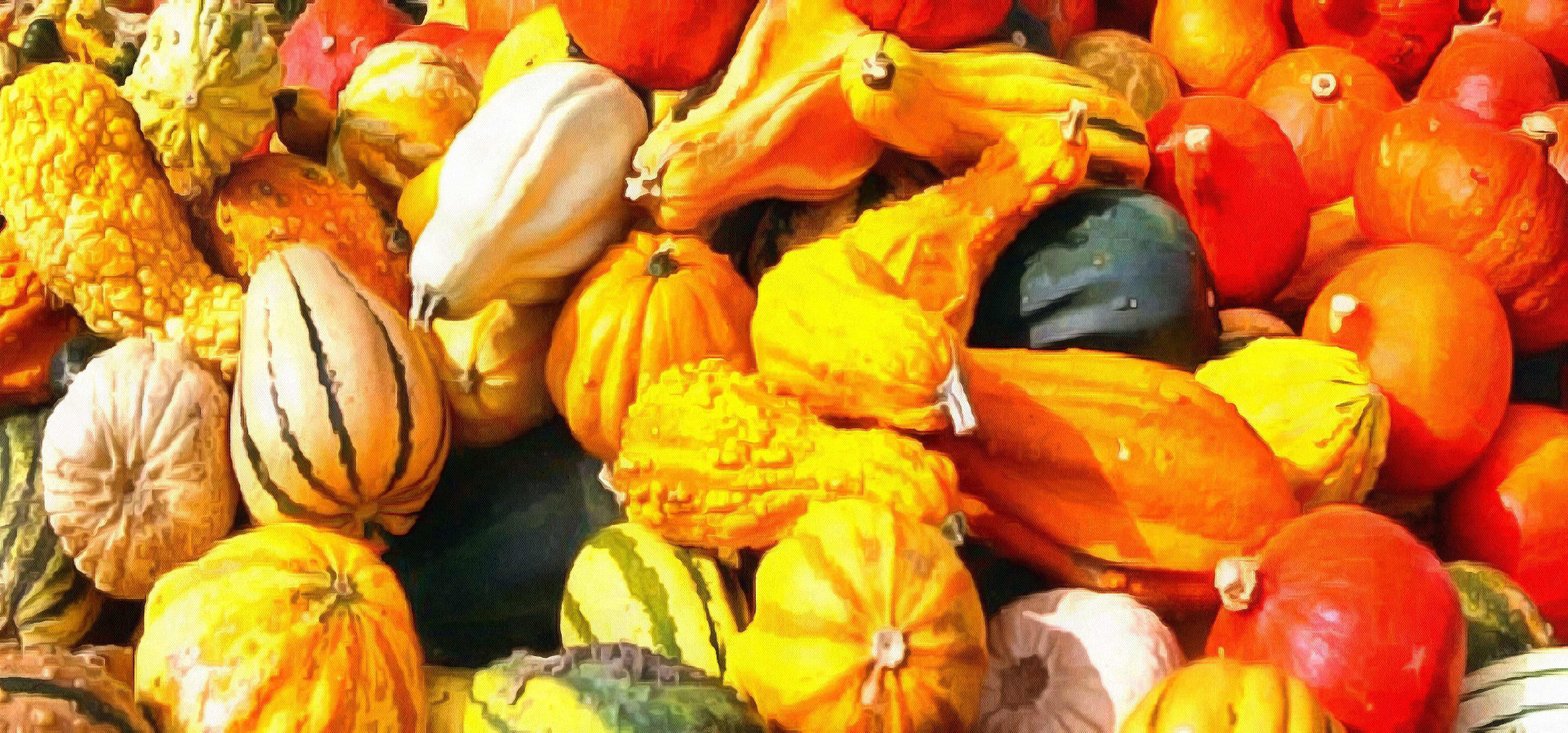 pumpkin, wheelbarrow, cart, trade, tray, stall, holiday, lots of pumpkins, garden, spooky, halloween -  stock free photos, public domain images, download free images, free stock images, public domain