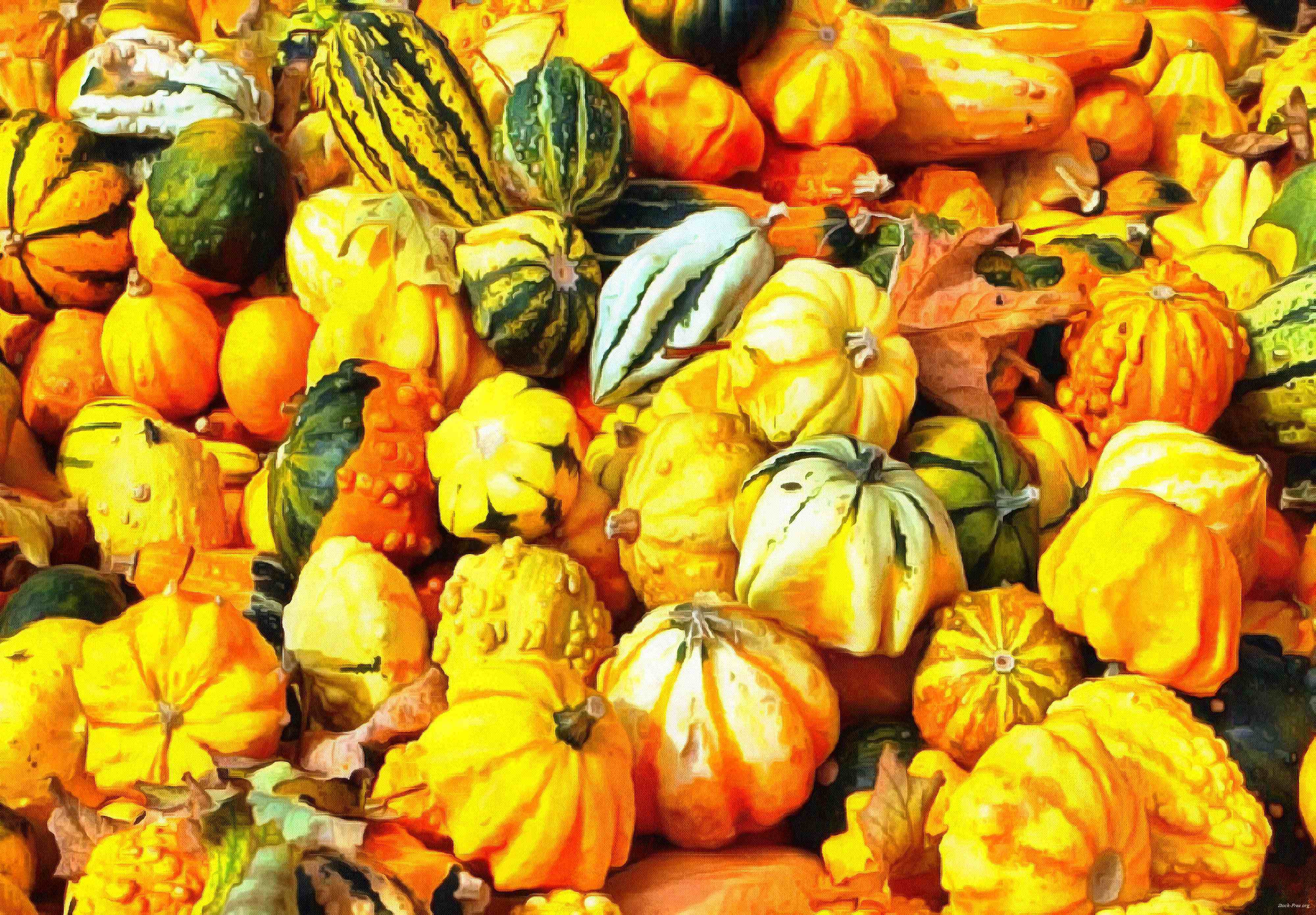 pumpkin, wheelbarrow, cart, trade, tray, stall, holiday, lots of pumpkins, garden, spooky, halloween -  stock free photos, public domain images, download free images, free stock images, public domain