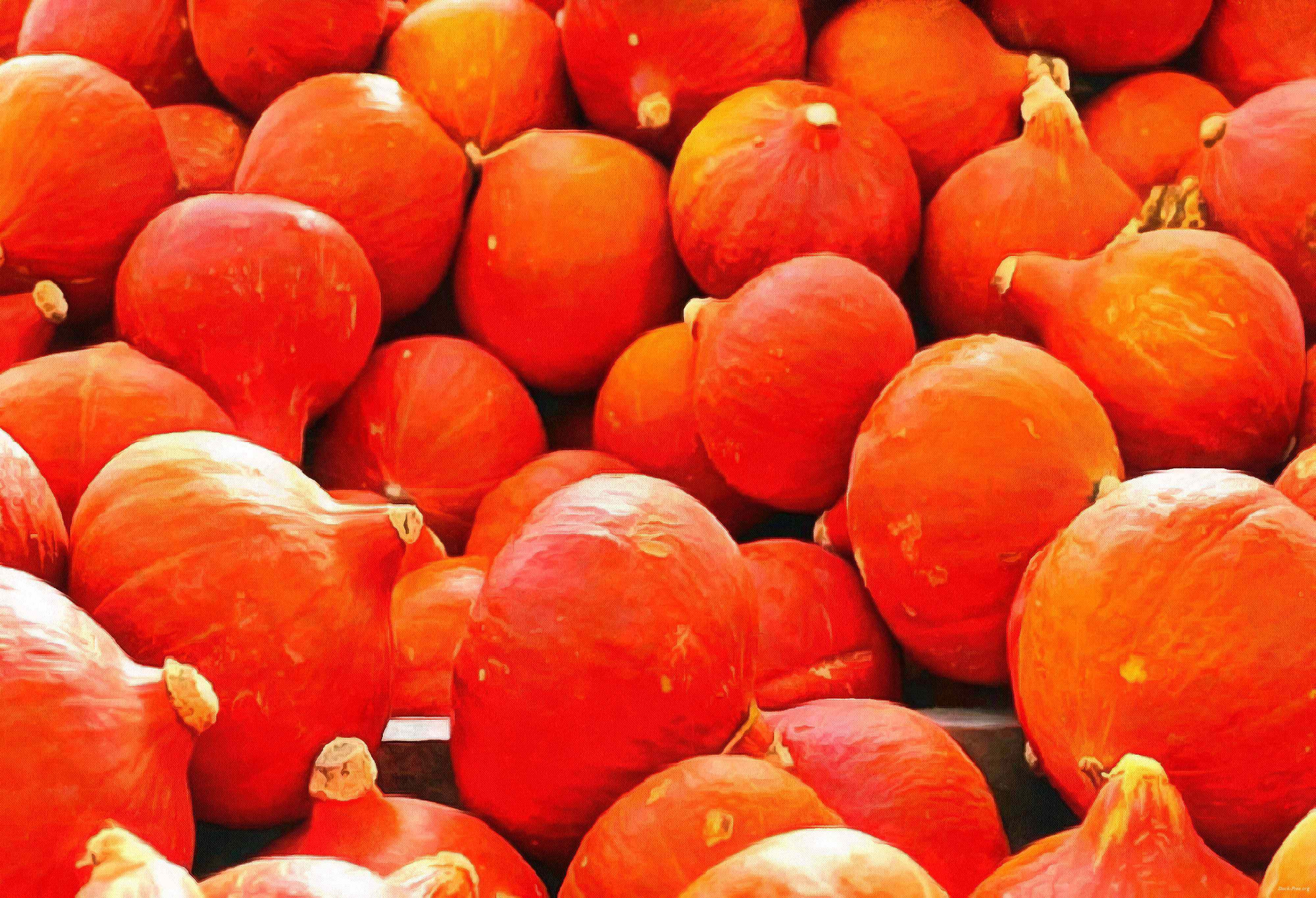 pumpkin, wheelbarrow, cart, trade, tray, stall, holiday, lots of pumpkins, garden, spooky, halloween -  stock free photos, public domain images, download free images, free stock images, public domain