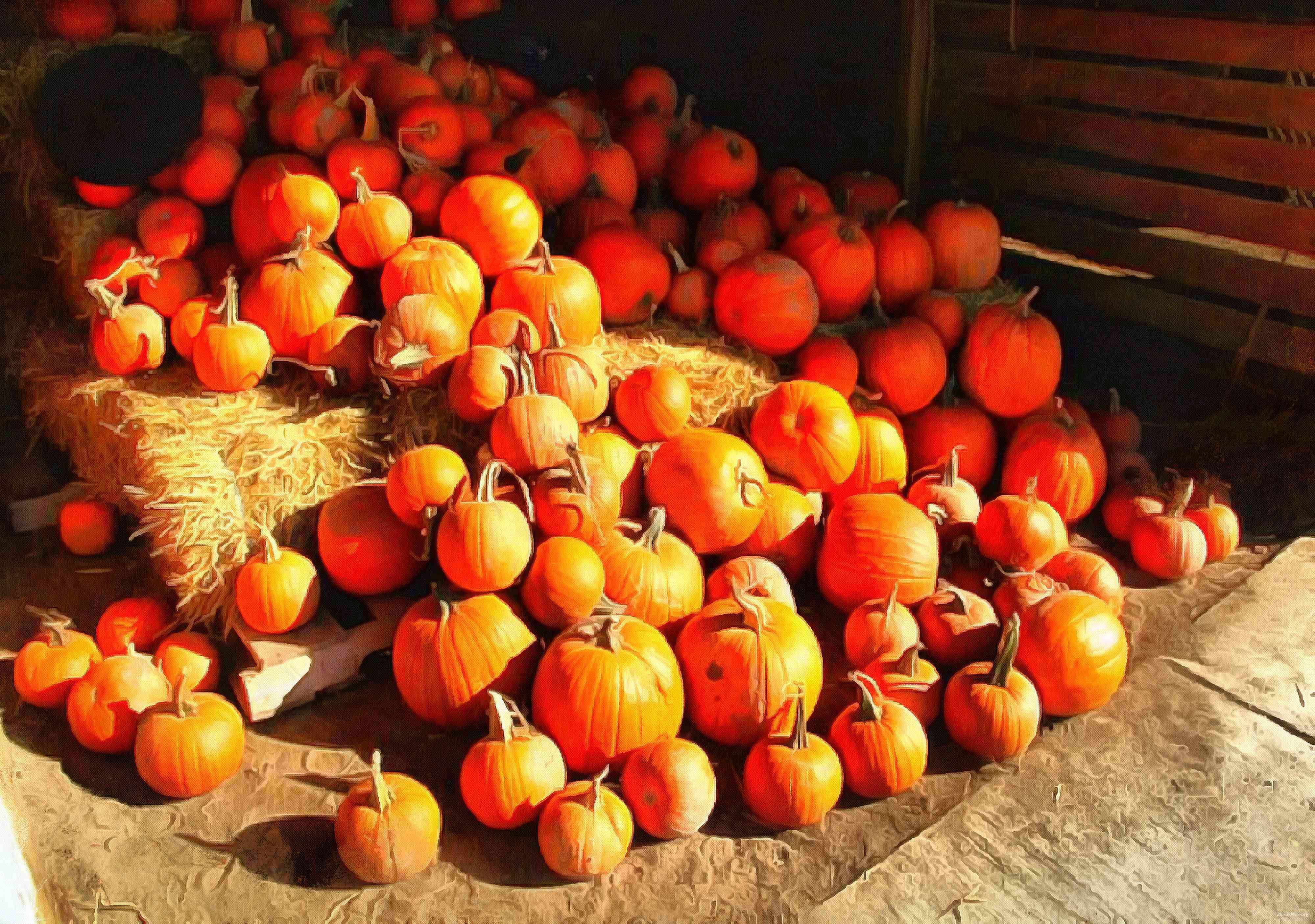 pumpkin, wheelbarrow, cart, trade, tray, stall, holiday, lots of pumpkins, garden, spooky, halloween -  stock free photos, public domain images, download free images, free stock images, public domain