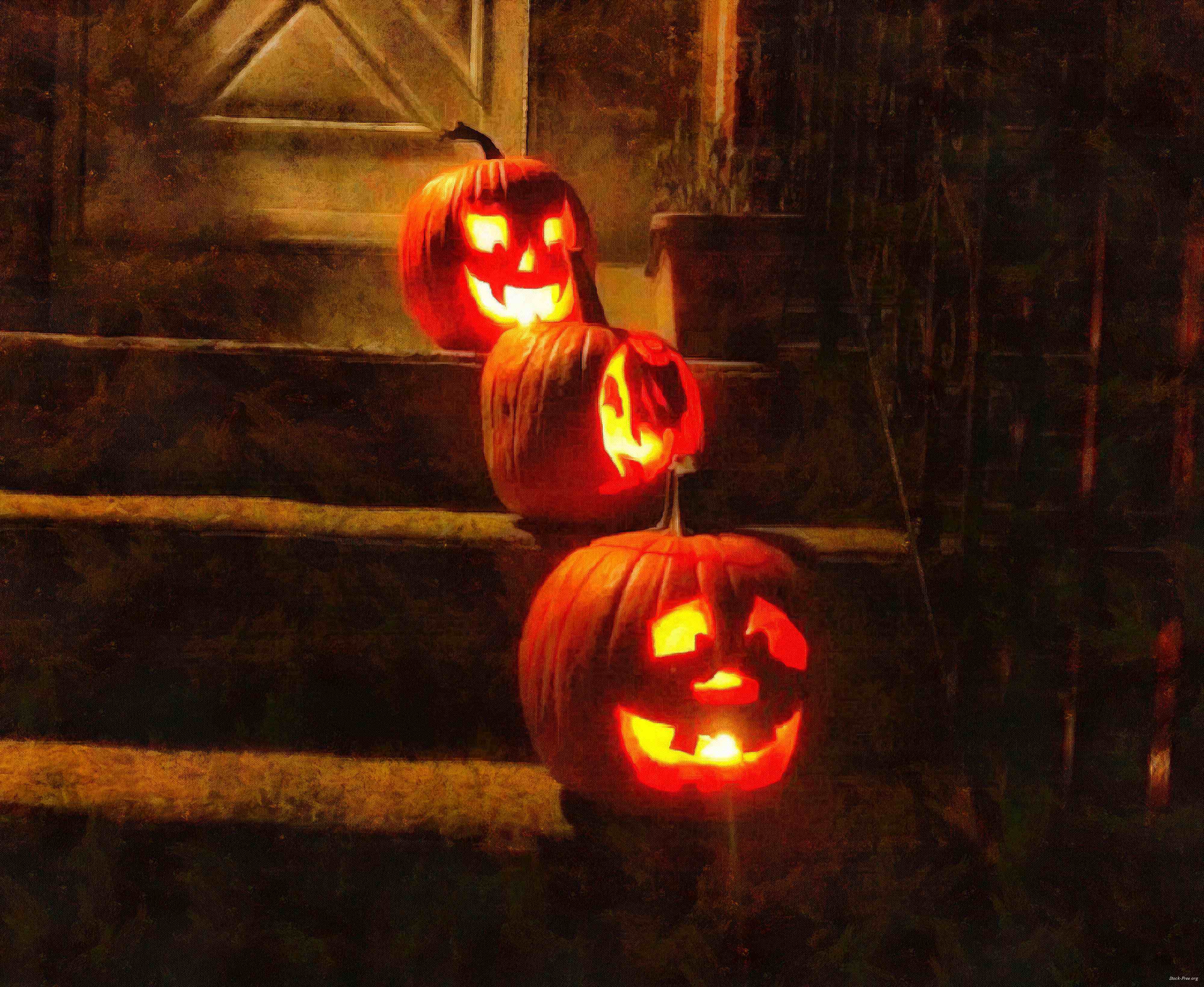 pumpkin, wheelbarrow, cart, trade, tray, stall, holiday, lots of pumpkins, garden, spooky, halloween -  stock free photos, public domain images, download free images, free stock images, public domain