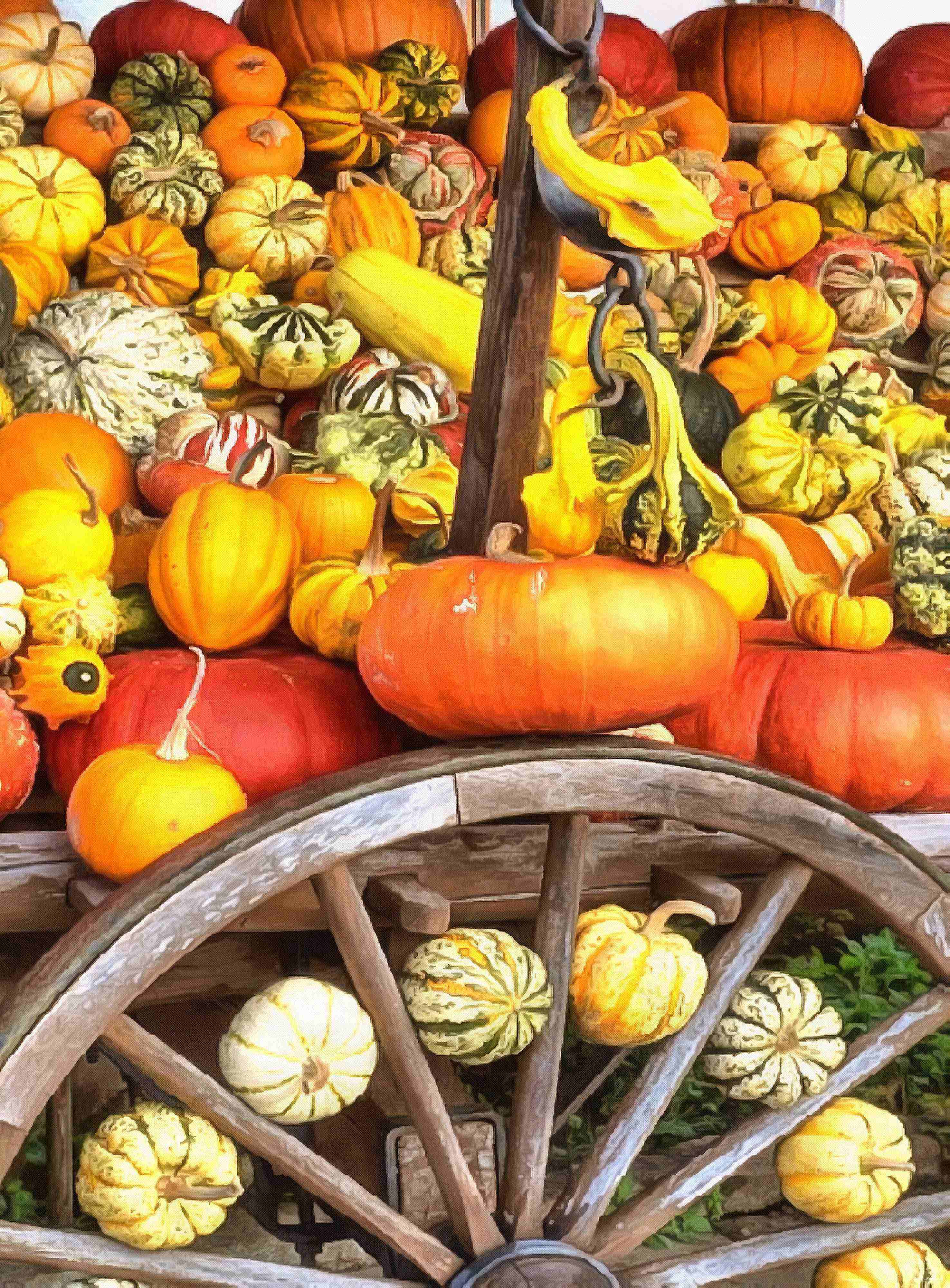 pumpkin, holiday, lots of pumpkins, garden, spooky, trick or treet, halloween -  stock free photos, public domain images, download free images, free stock images, public domain