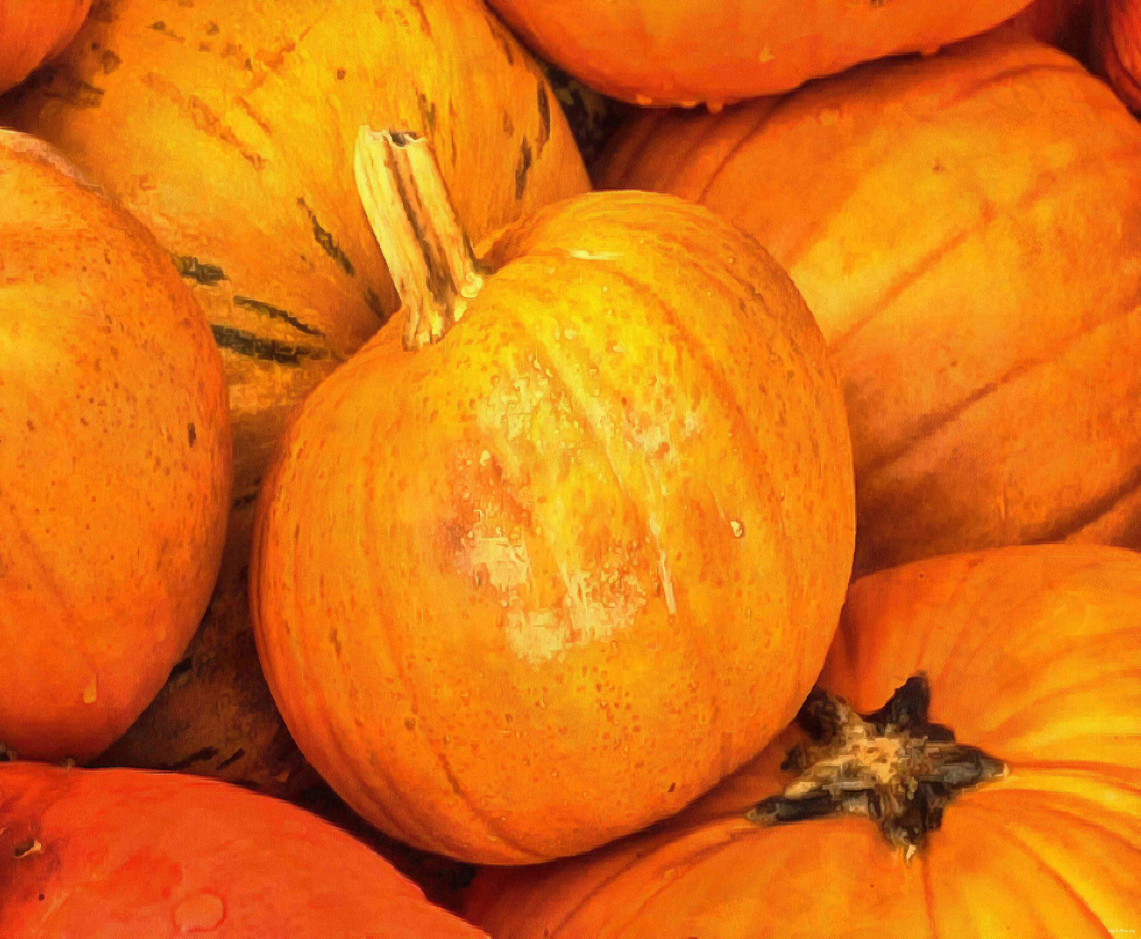 pumpkin, holiday, lots of pumpkins, garden, spooky, trick or treet, halloween -  stock free photos, public domain images, download free images, free stock images, public domain