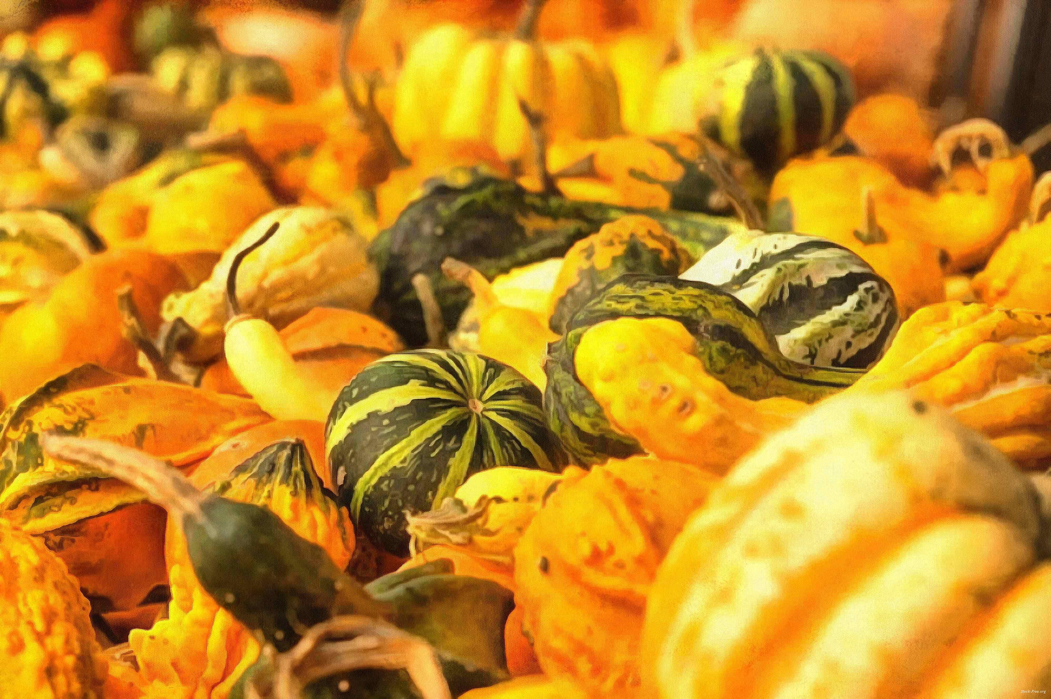 pumpkin, holiday, lots of pumpkins, garden, spooky, trick or treet, halloween -  stock free photos, public domain images, download free images, free stock images, public domain