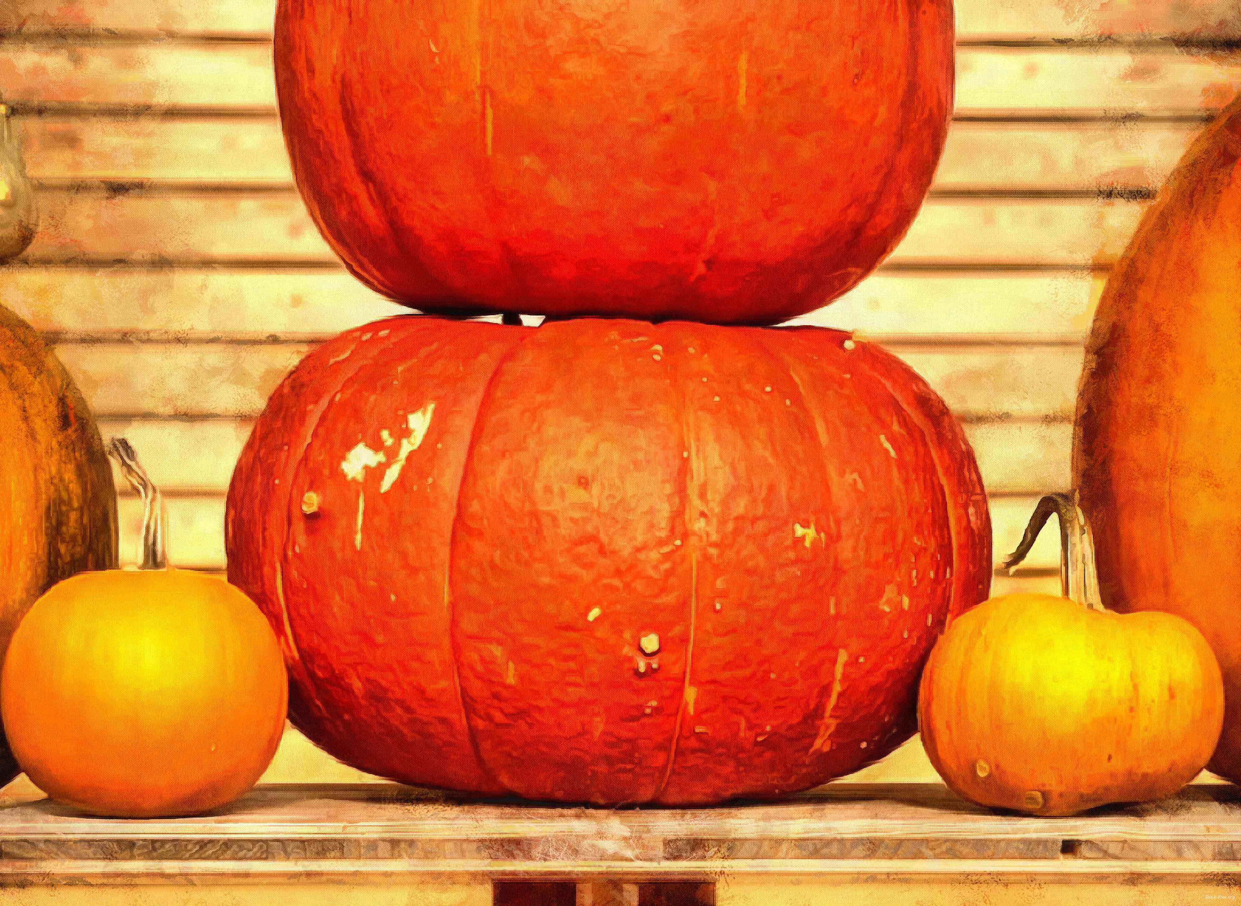 pumpkin, holiday, lots of pumpkins, garden, spooky, trick or treet, halloween -  stock free photos, public domain images, download free images, free stock images, public domain