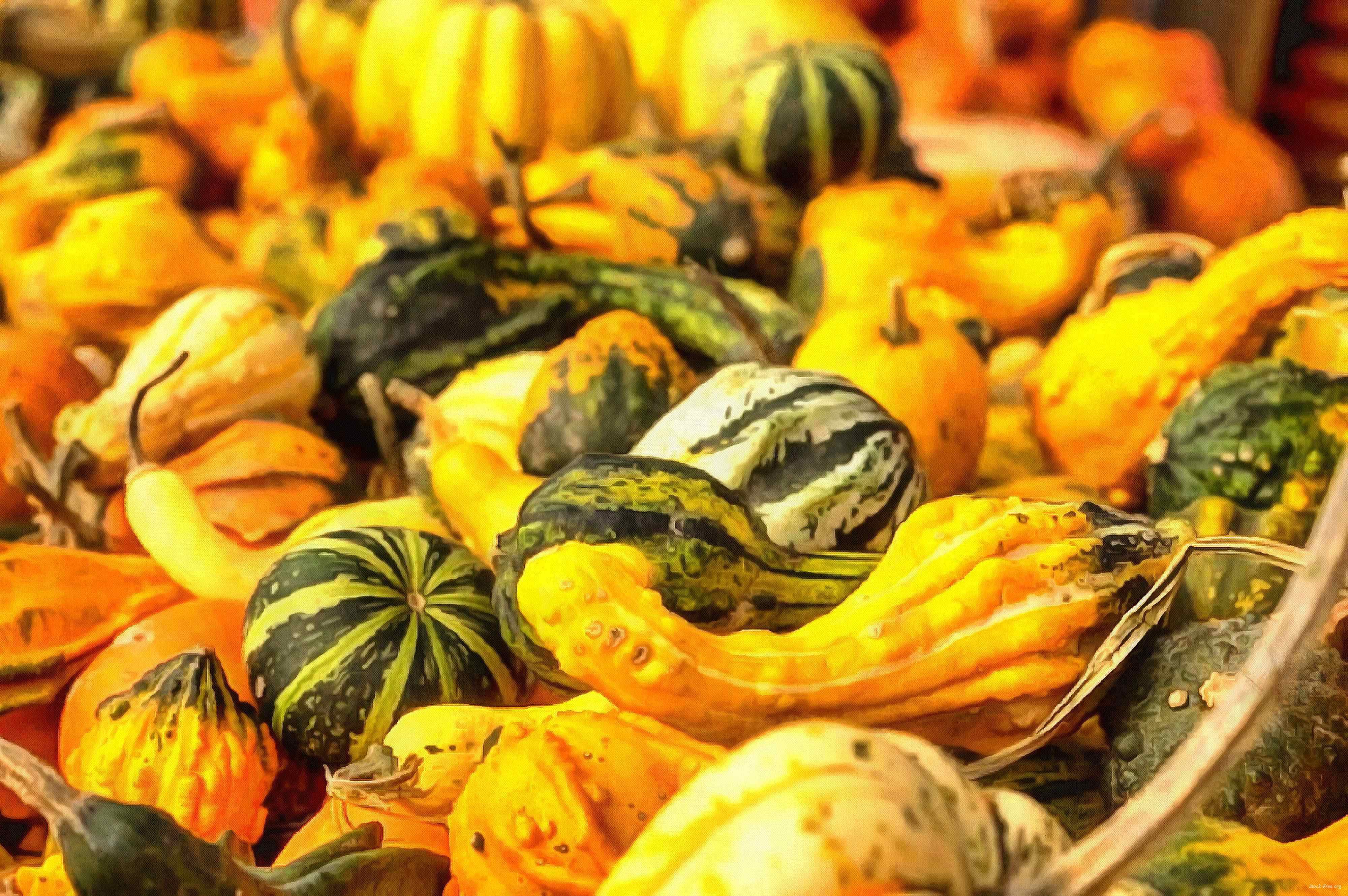 pumpkin, holiday, lots of pumpkins, garden, spooky, trick or treet, halloween -  stock free photos, public domain images, download free images, free stock images, public domain