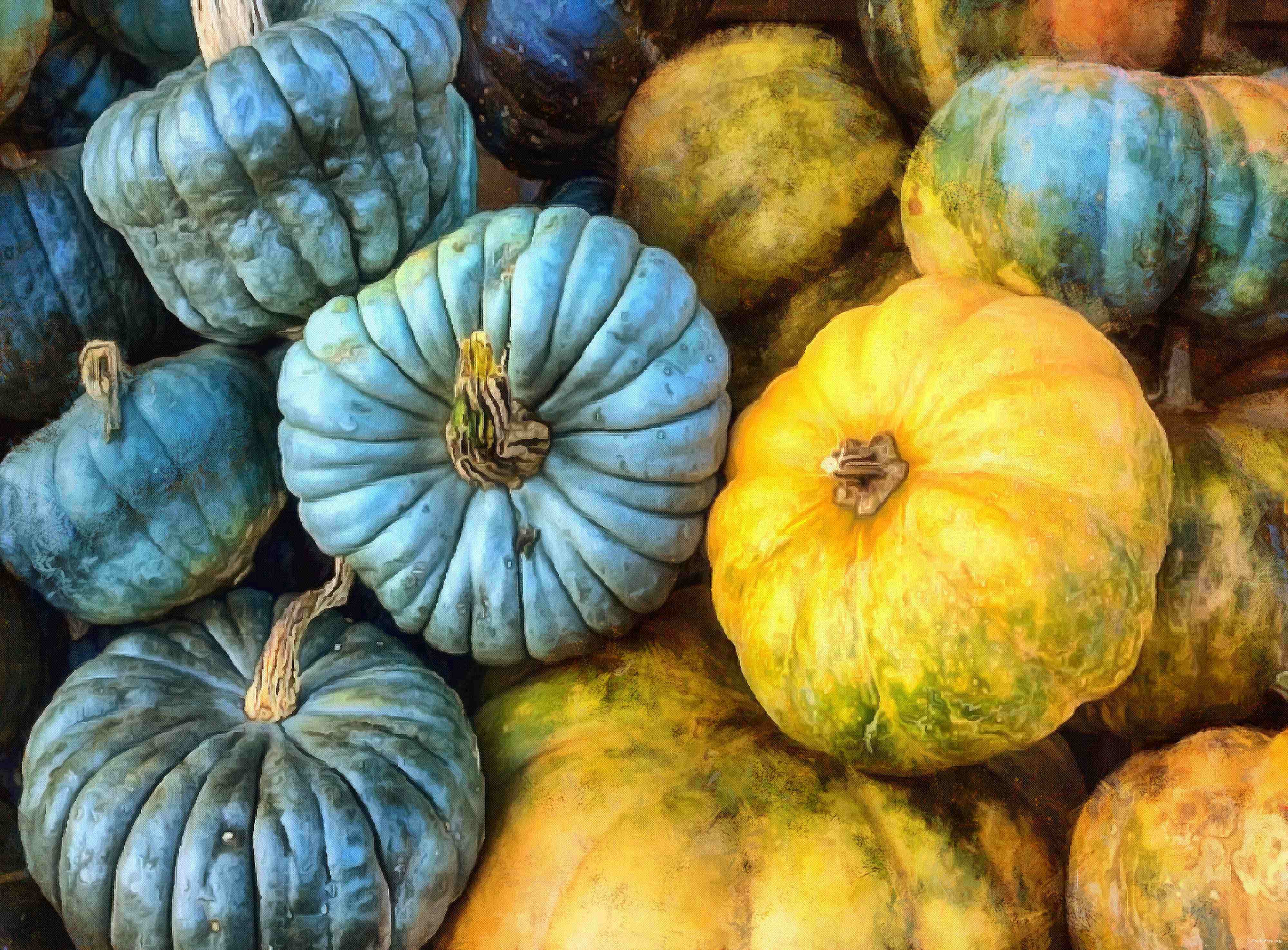 pumpkin, holiday, lots of pumpkins, garden, spooky, trick or treet, halloween -  stock free photos, public domain images, download free images, free stock images, public domain