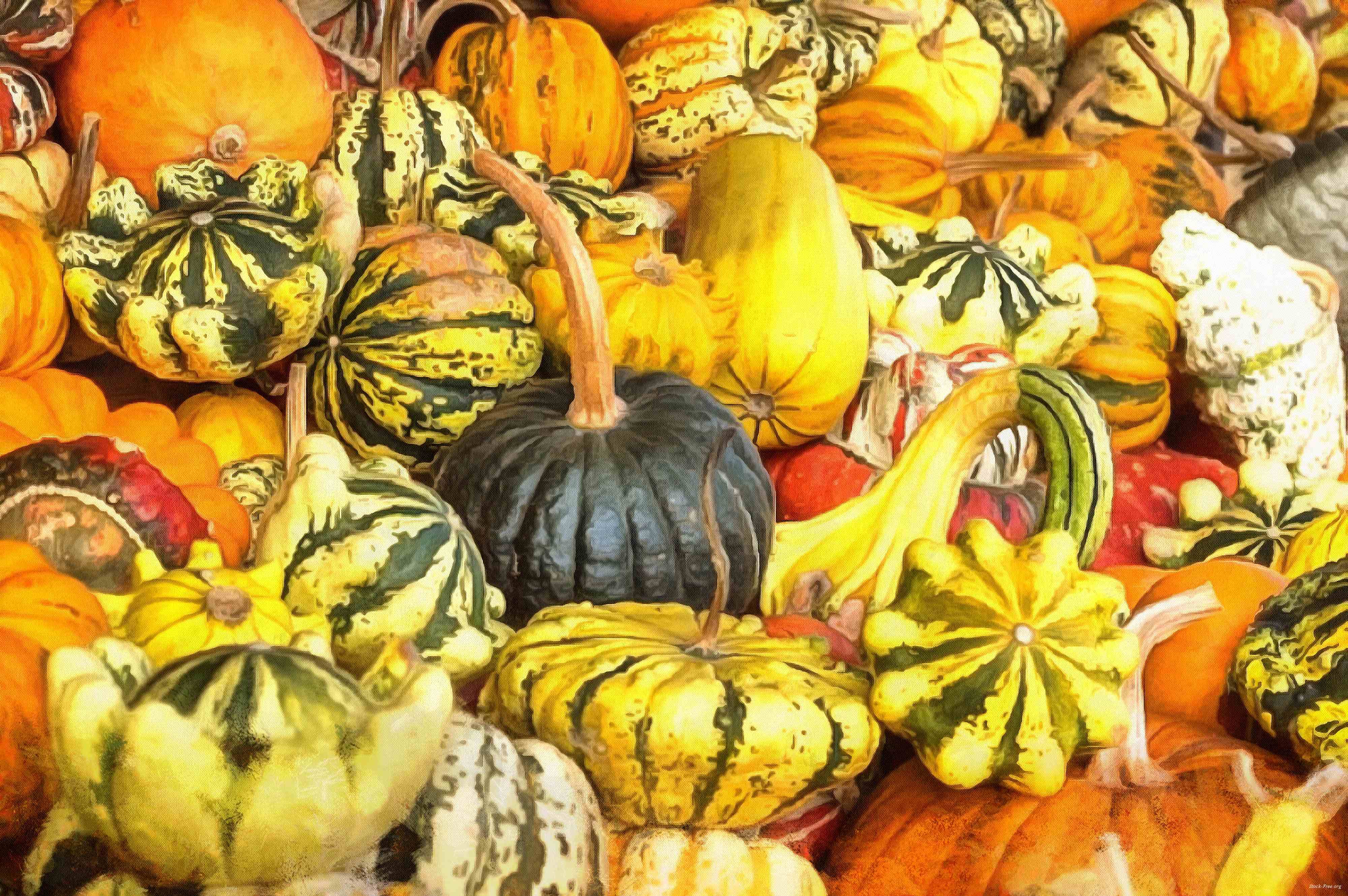 pumpkin, holiday, lots of pumpkins, garden, spooky, trick or treet, halloween -  stock free photos, public domain images, download free images, free stock images, public domain