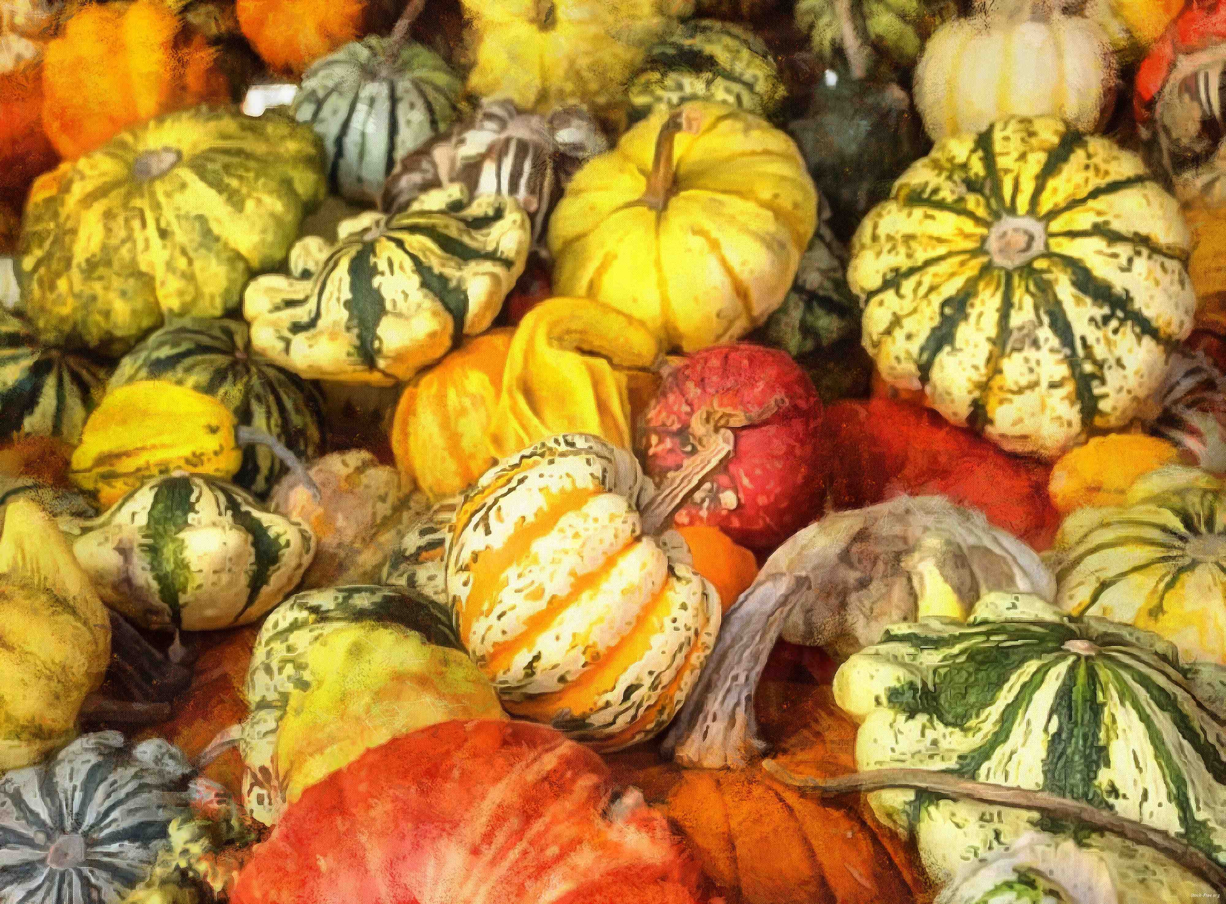 pumpkin, holiday, lots of pumpkins, garden, spooky, trick or treet, halloween -  stock free photos, public domain images, download free images, free stock images, public domain