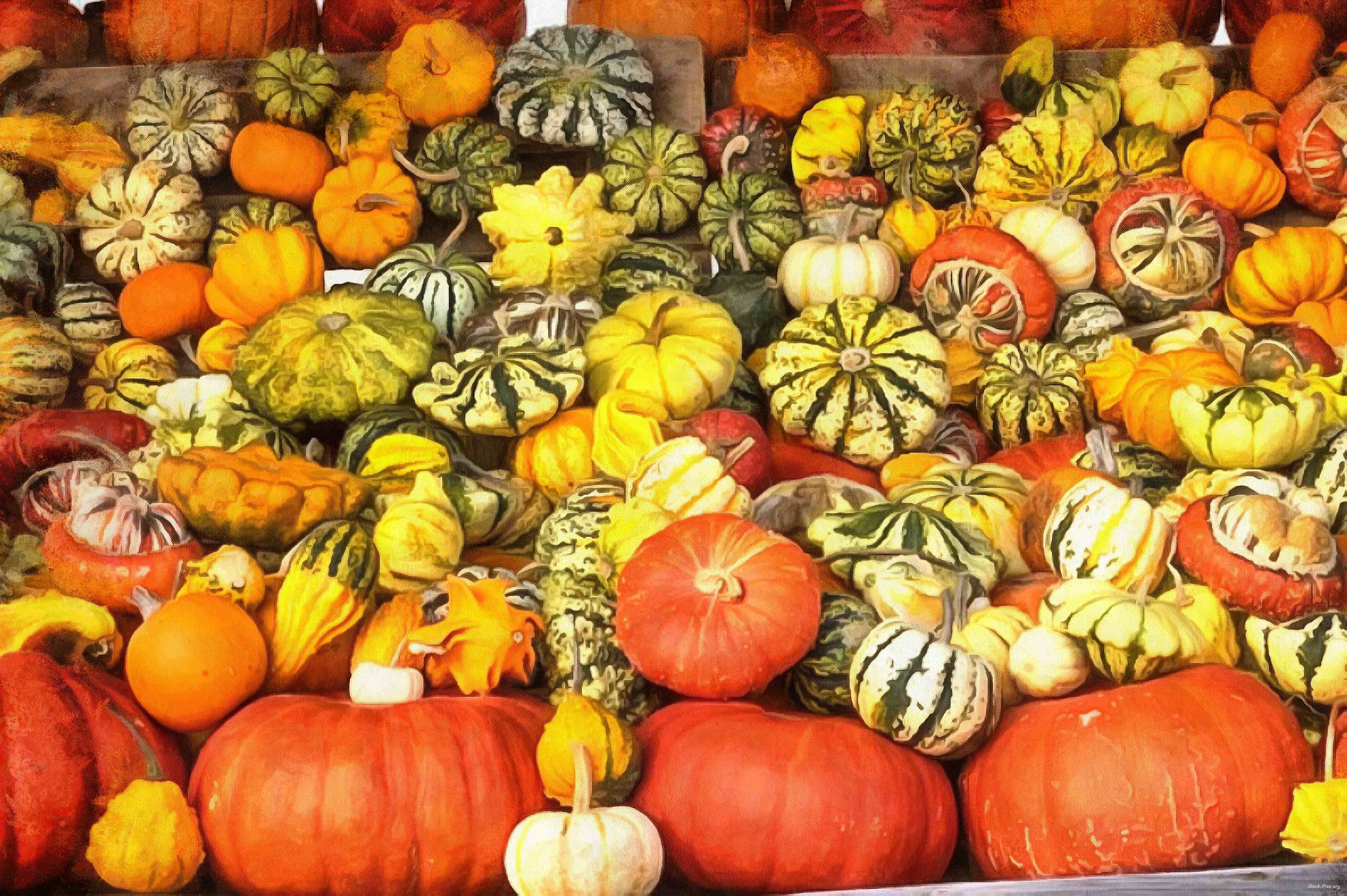 pumpkin, holiday, lots of pumpkins, garden, spooky, trick or treet, halloween -  stock free photos, public domain images, download free images, free stock images, public domain