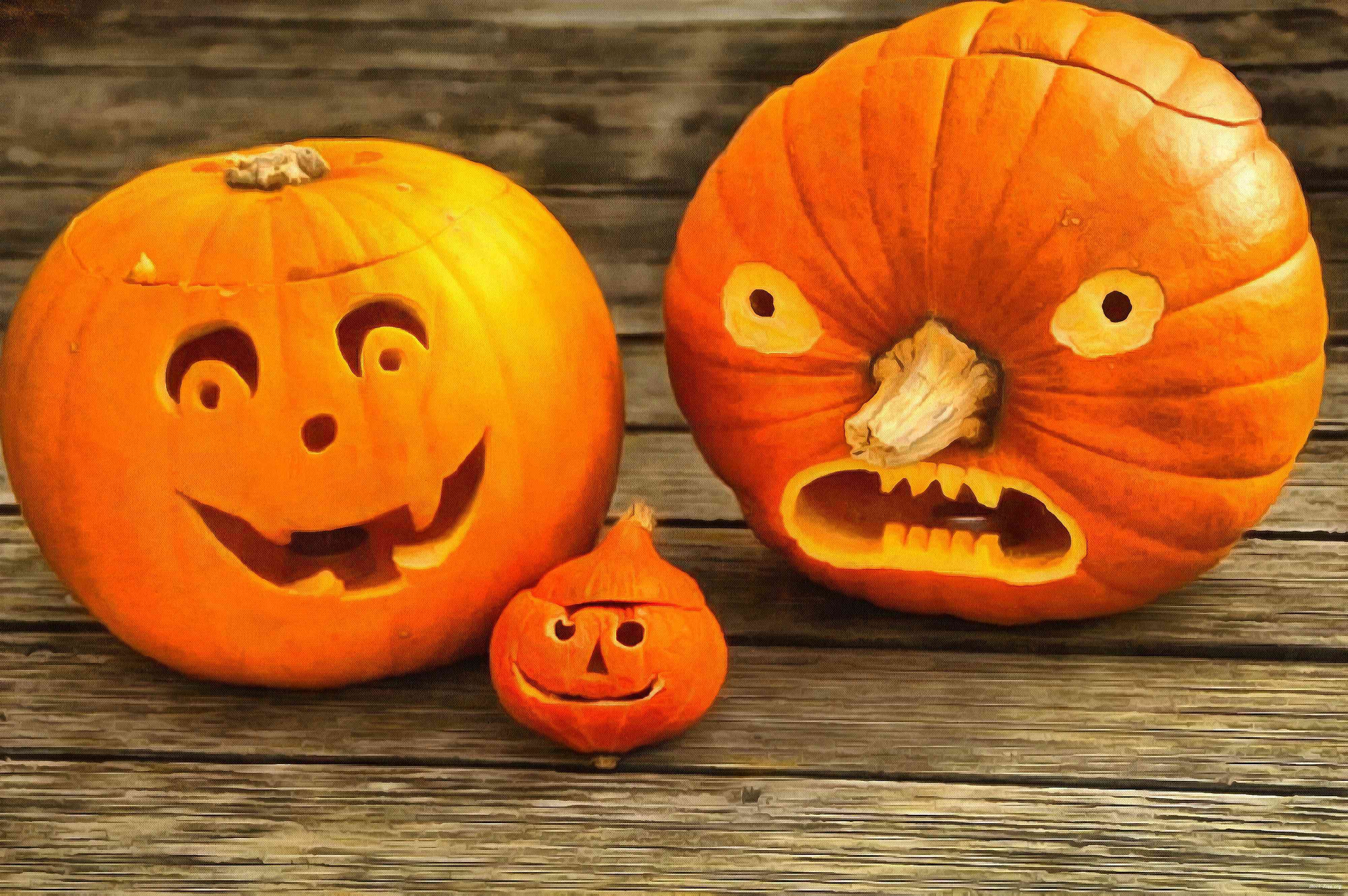 pumpkin, holiday, lots of pumpkins, garden, spooky, trick or treet, halloween -  stock free photos, public domain images, download free images, free stock images, public domain