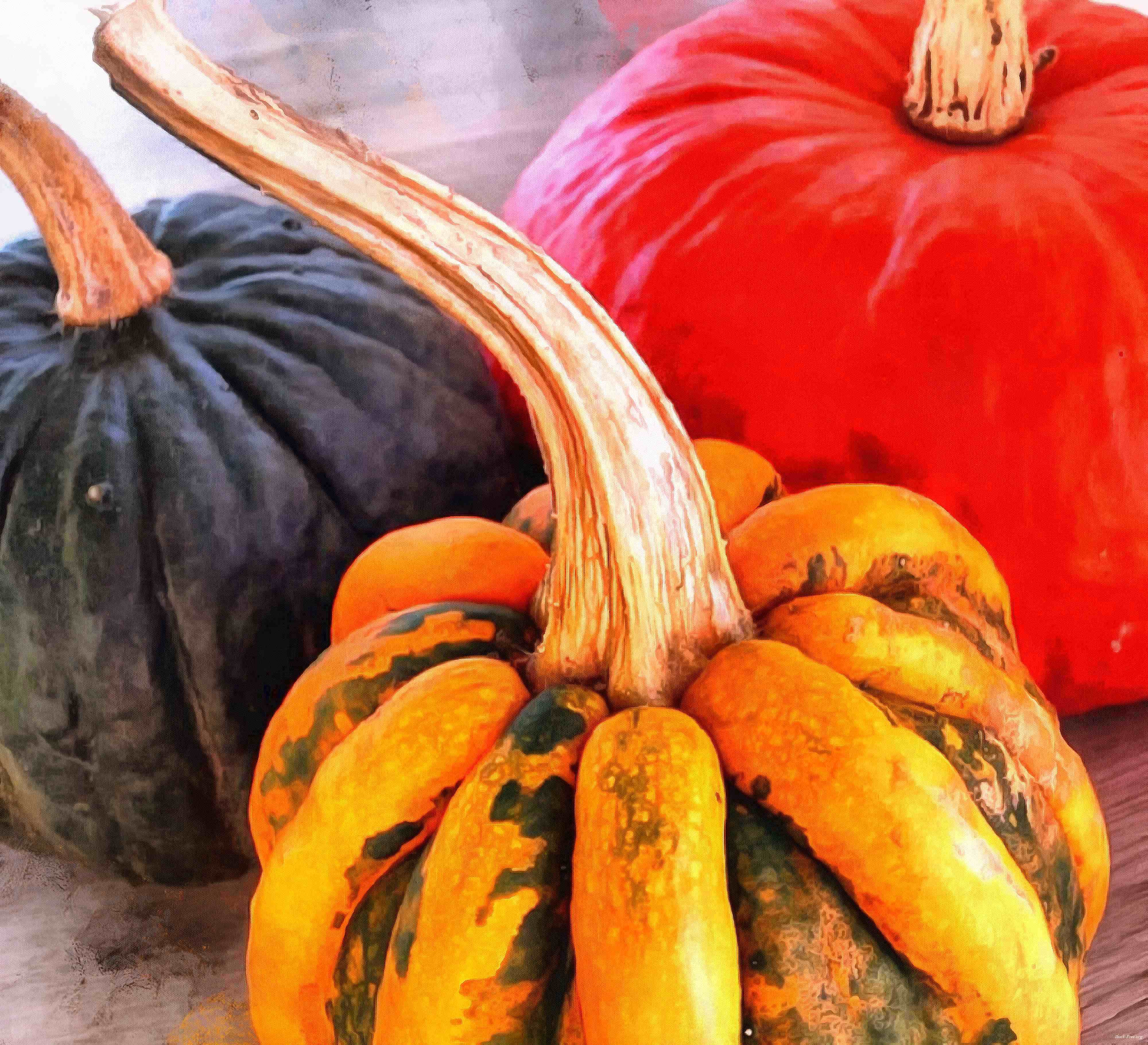 pumpkin, holiday, lots of pumpkins, garden, spooky, trick or treet, halloween -  stock free photos, public domain images, download free images, free stock images, public domain